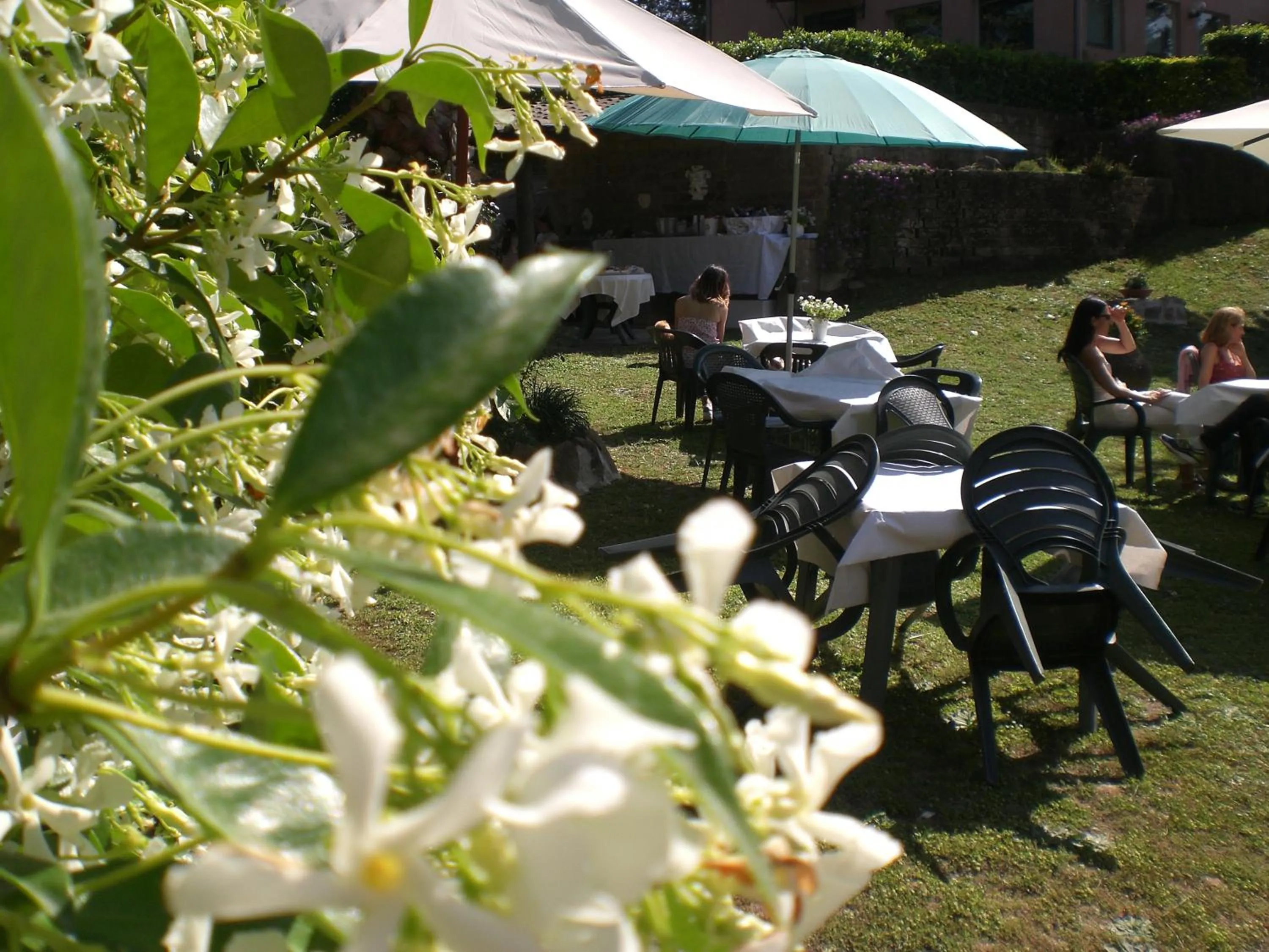 Garden view in Villa di Christian e Michelle
