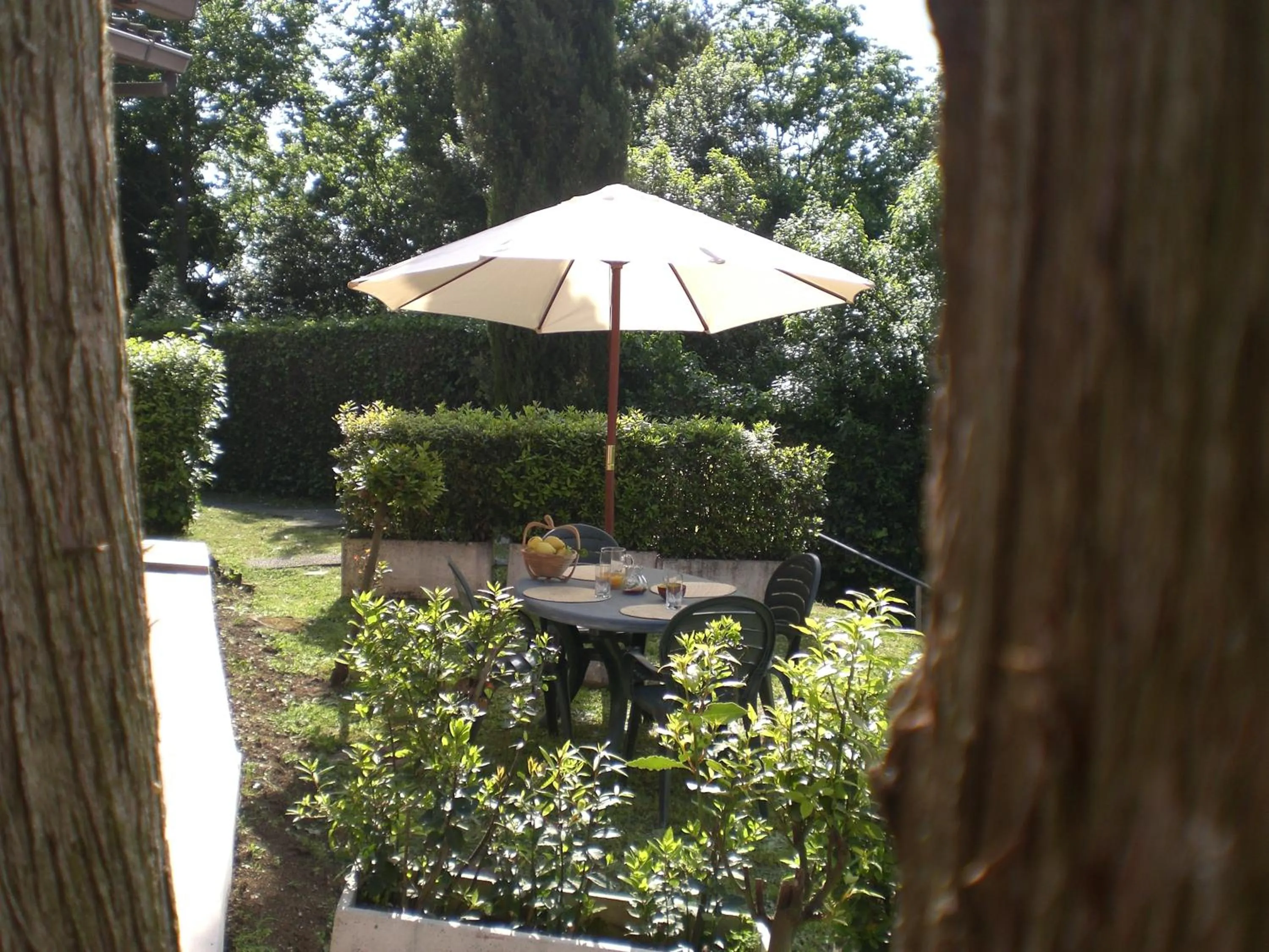 Garden in Villa di Christian e Michelle