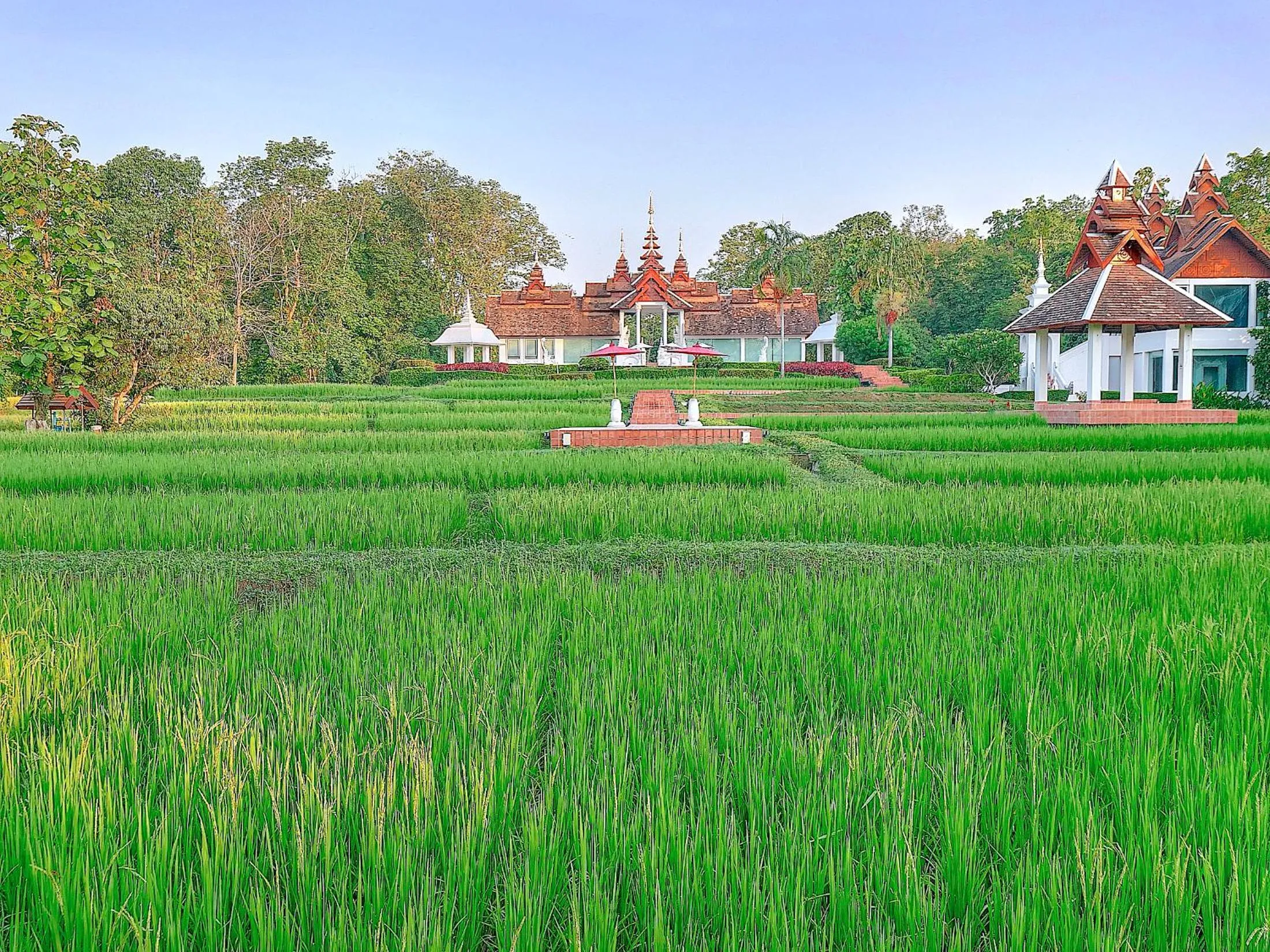 Garden in MonPanaNont Wellness Resort & Spa
