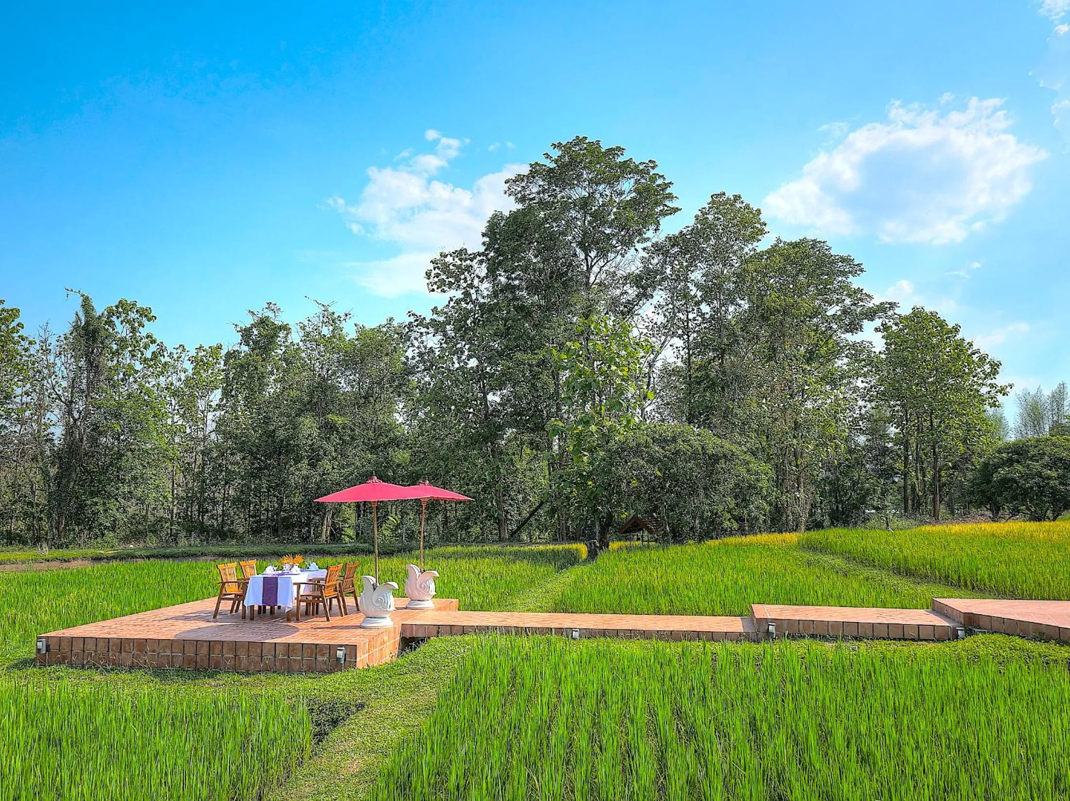 Natural landscape in MonPanaNont Wellness Resort & Spa