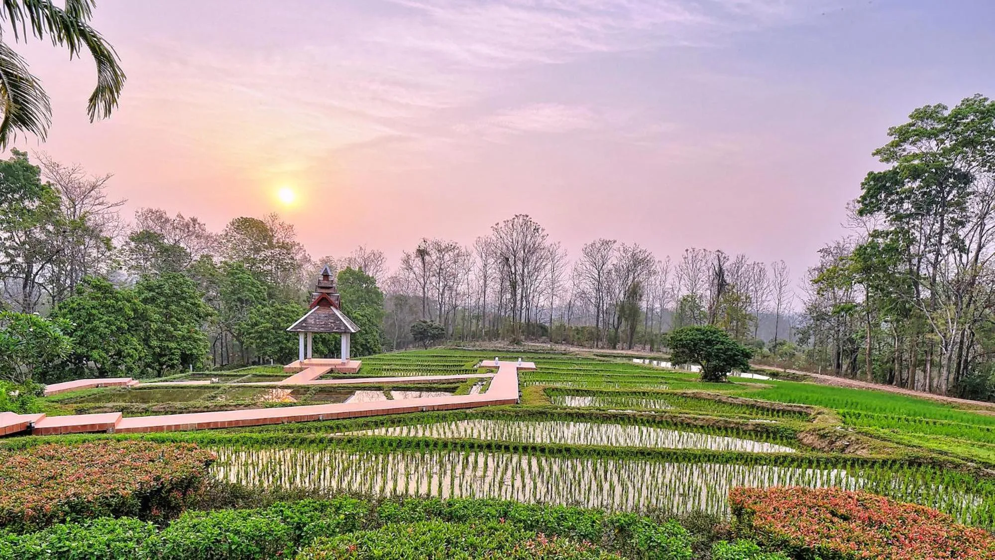 Natural landscape in MonPanaNont Wellness Resort & Spa