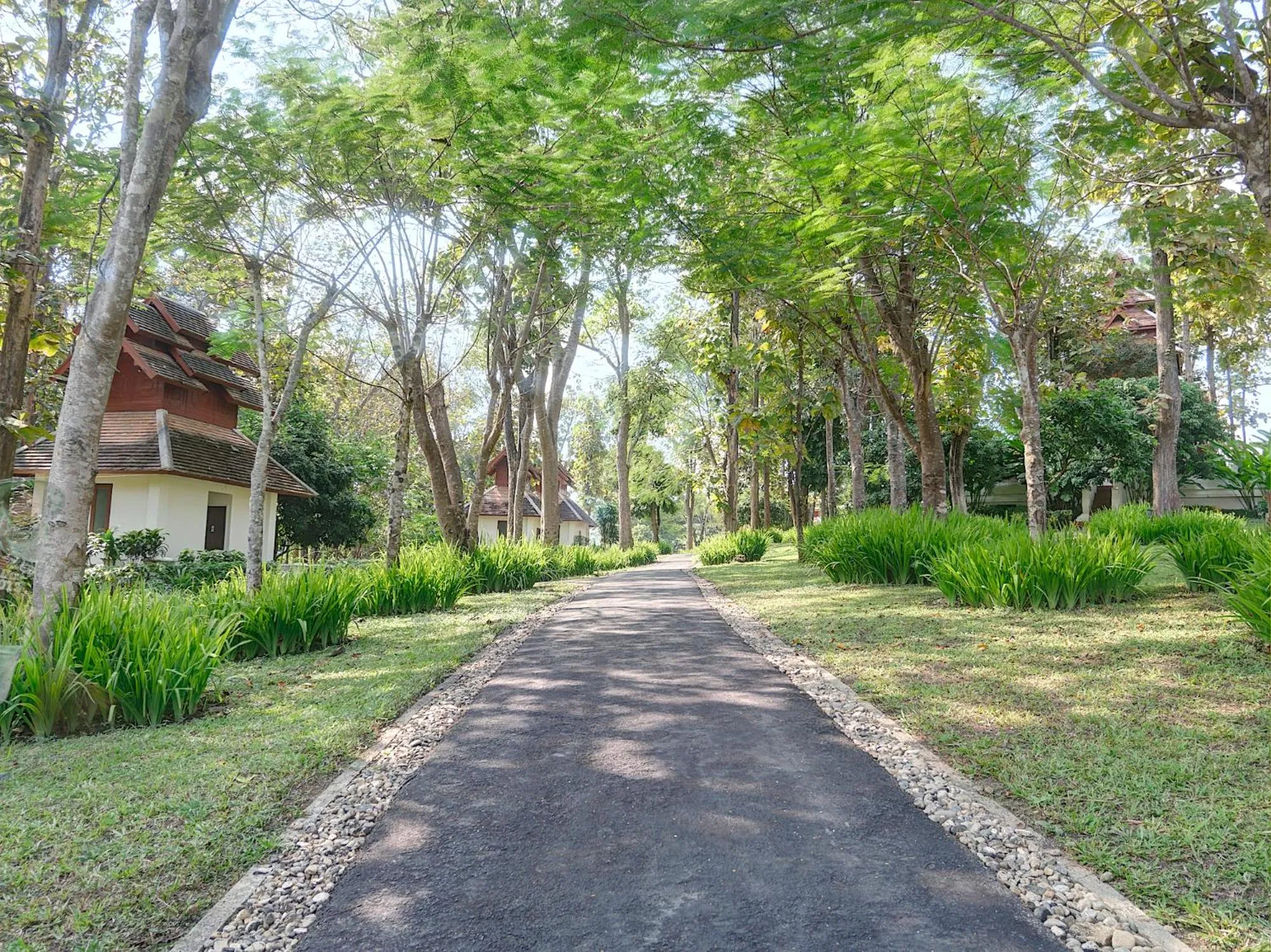 Garden in MonPanaNont Wellness Resort & Spa