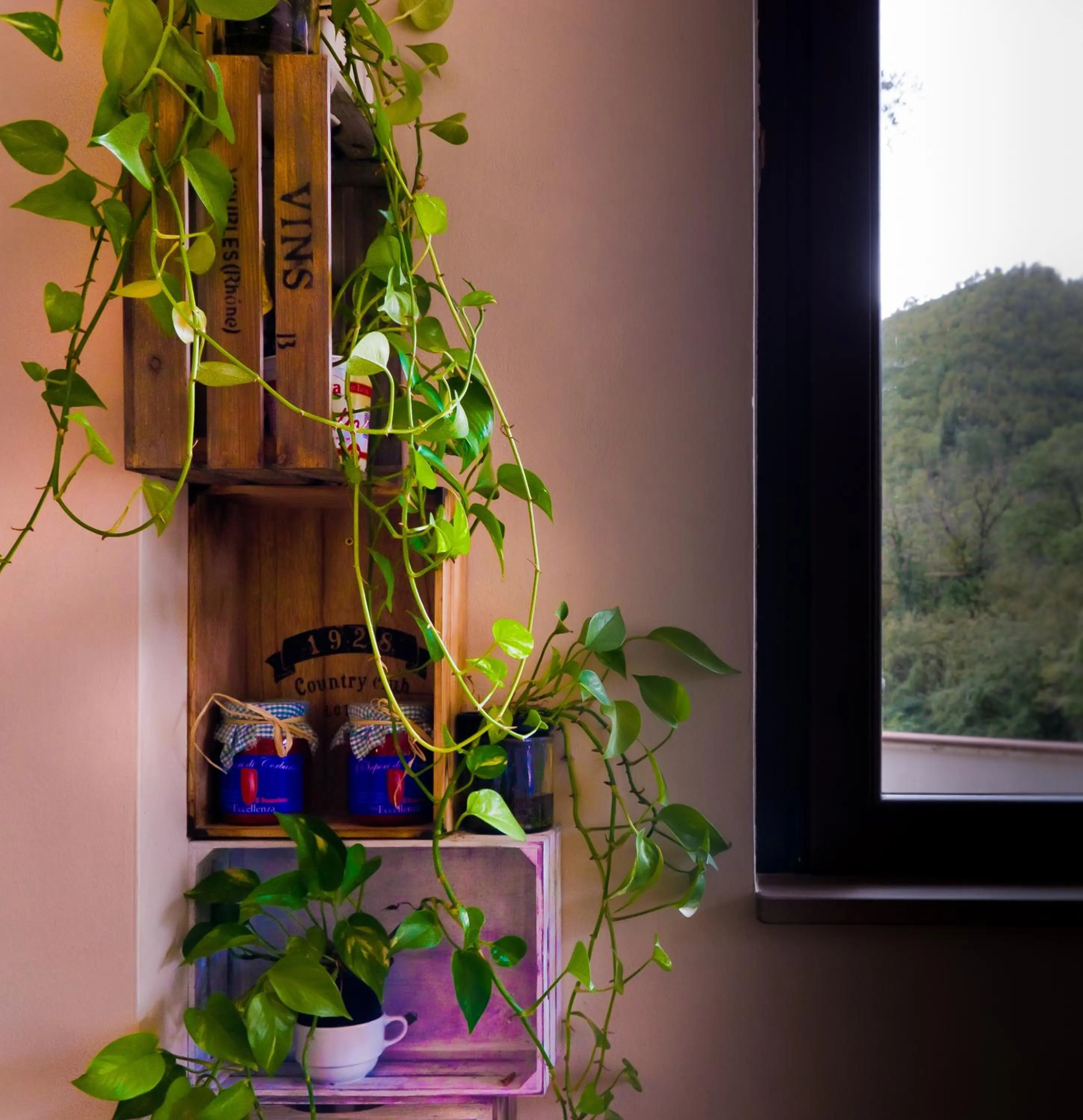 Il Casale Della Stella