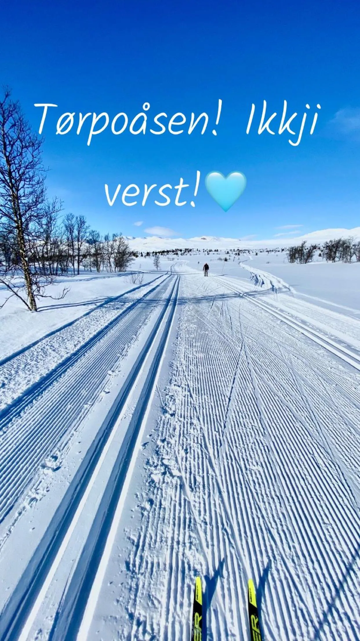 Activities in Torpomoen