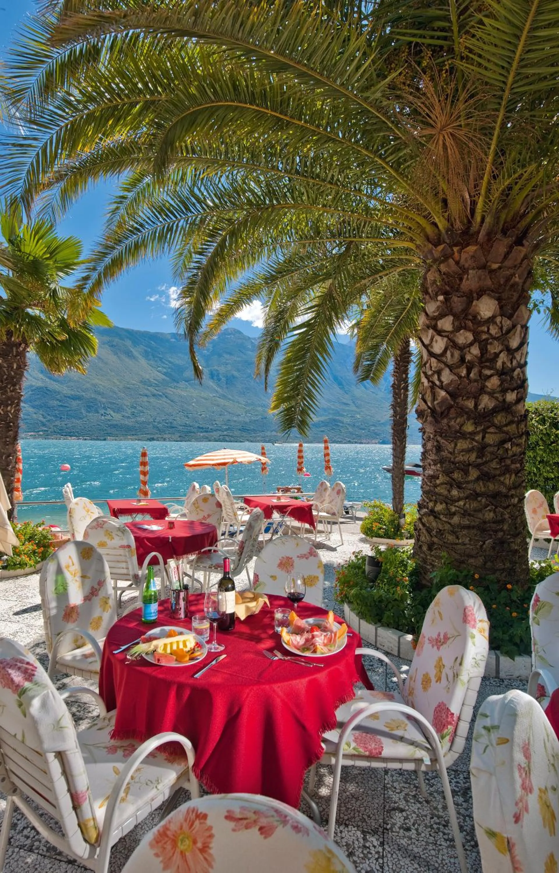 Restaurant/places to eat in Hotel Ideal
