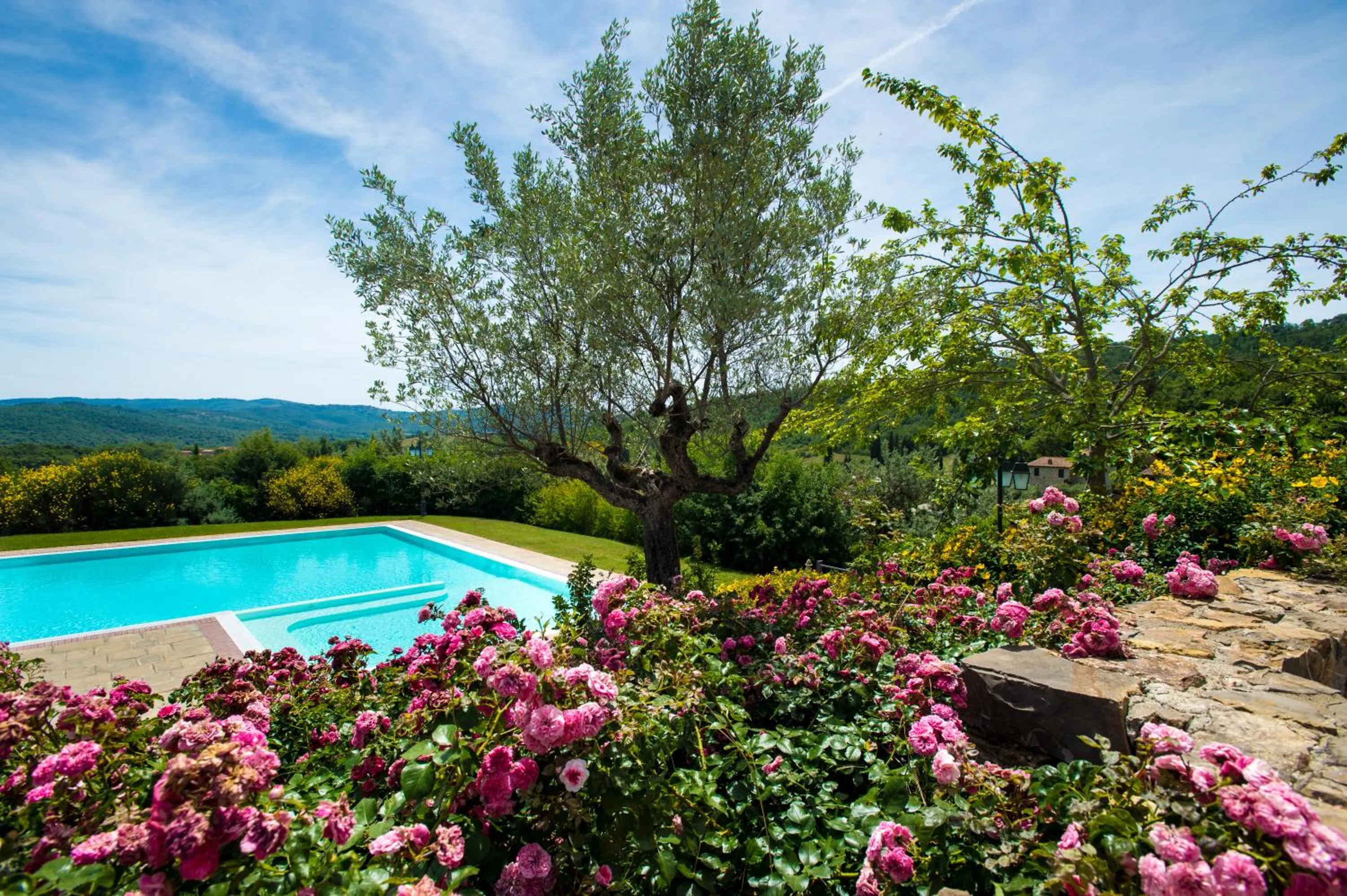 Natural landscape in Poggio Cennina Resort