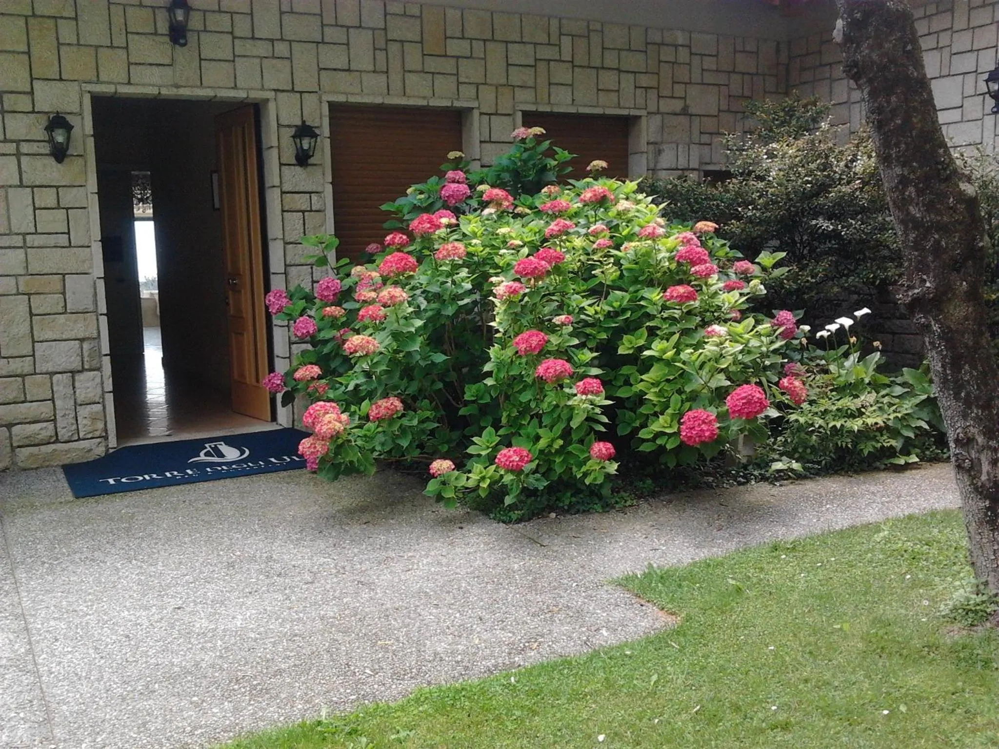 Decorative detail in Torre Degli Ulivi