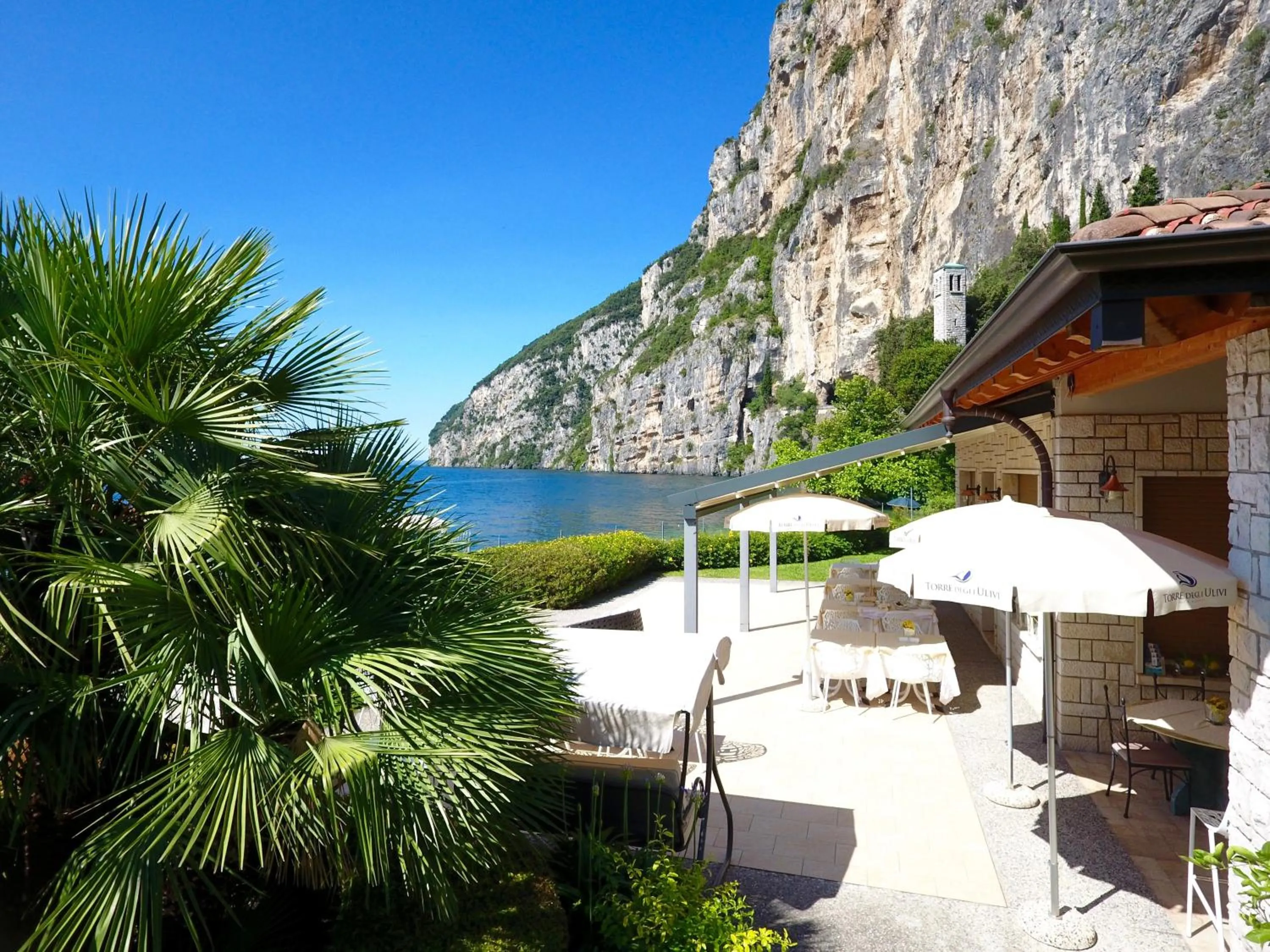 Photo of the whole room in Torre Degli Ulivi
