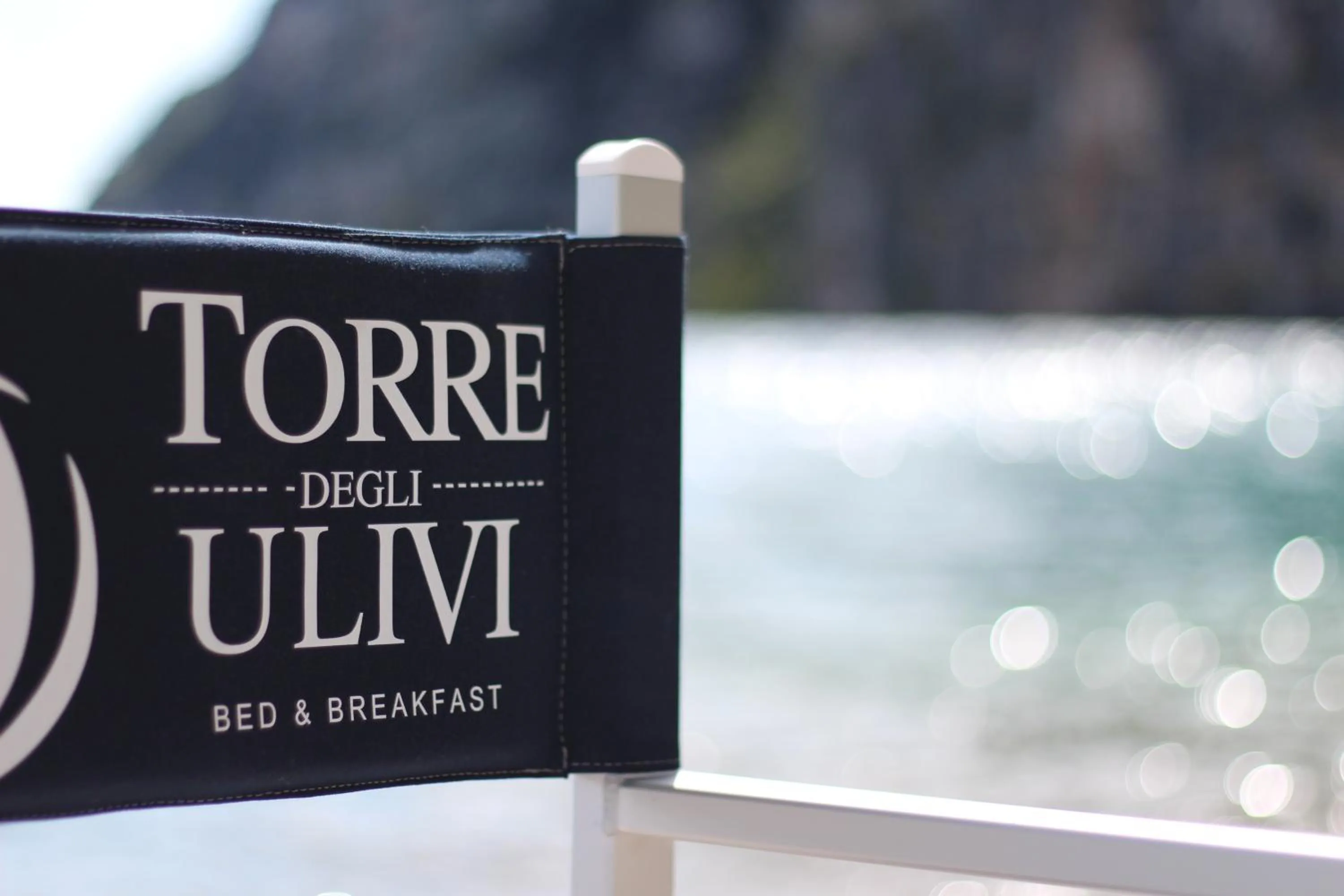 Property logo or sign in Torre Degli Ulivi