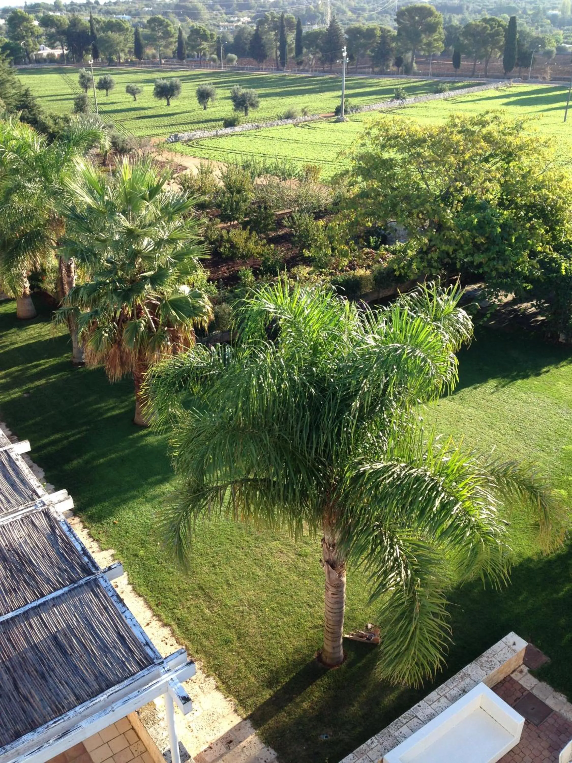 Bird's eye view in Masseria Torre Catena Resort & Restaurant