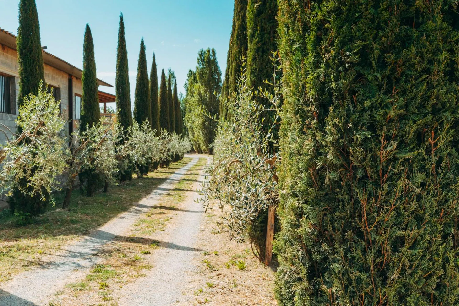 Agriturismo Il Borgo