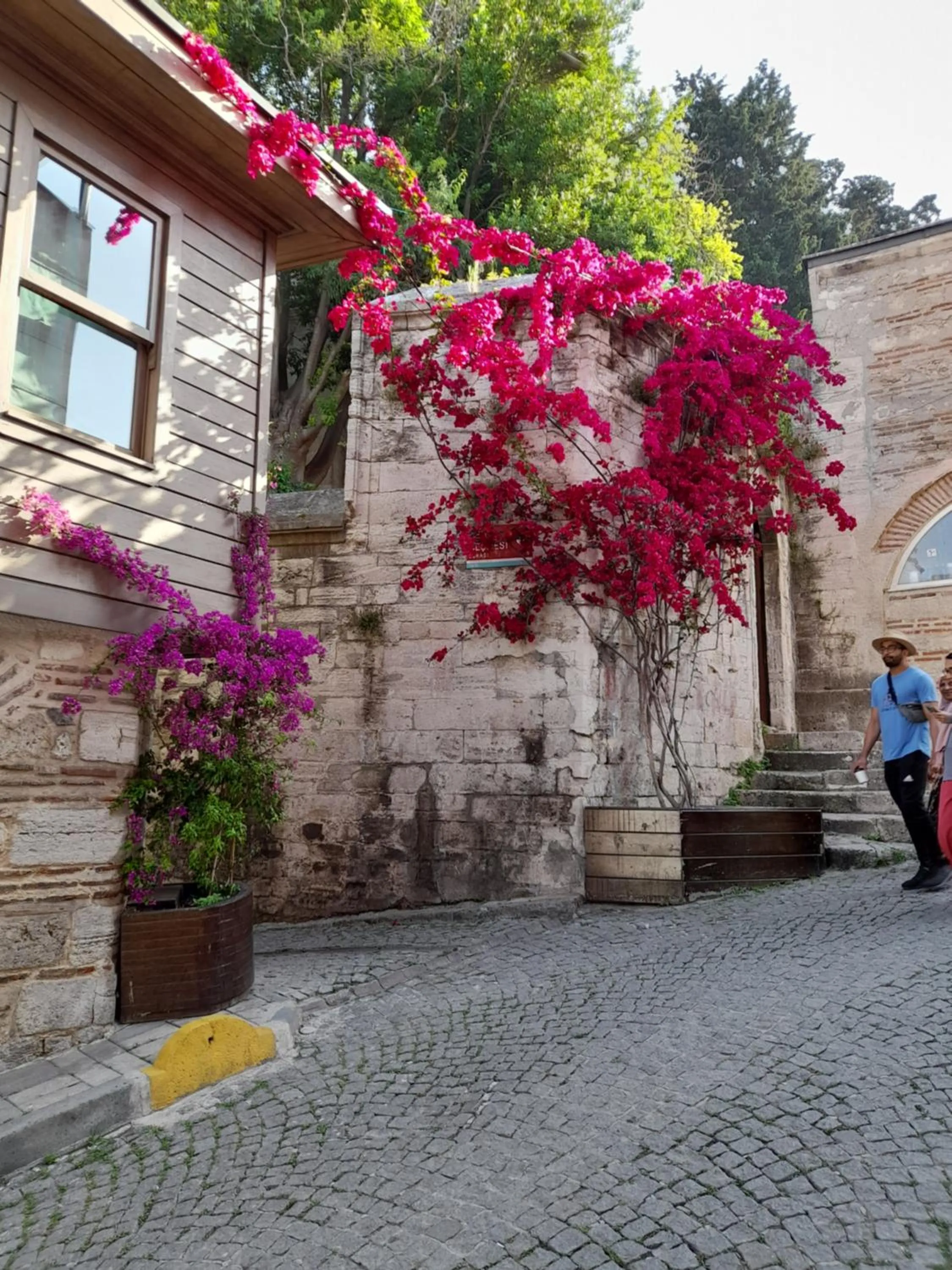 Street view in Emirhan Guesthouse & Suites