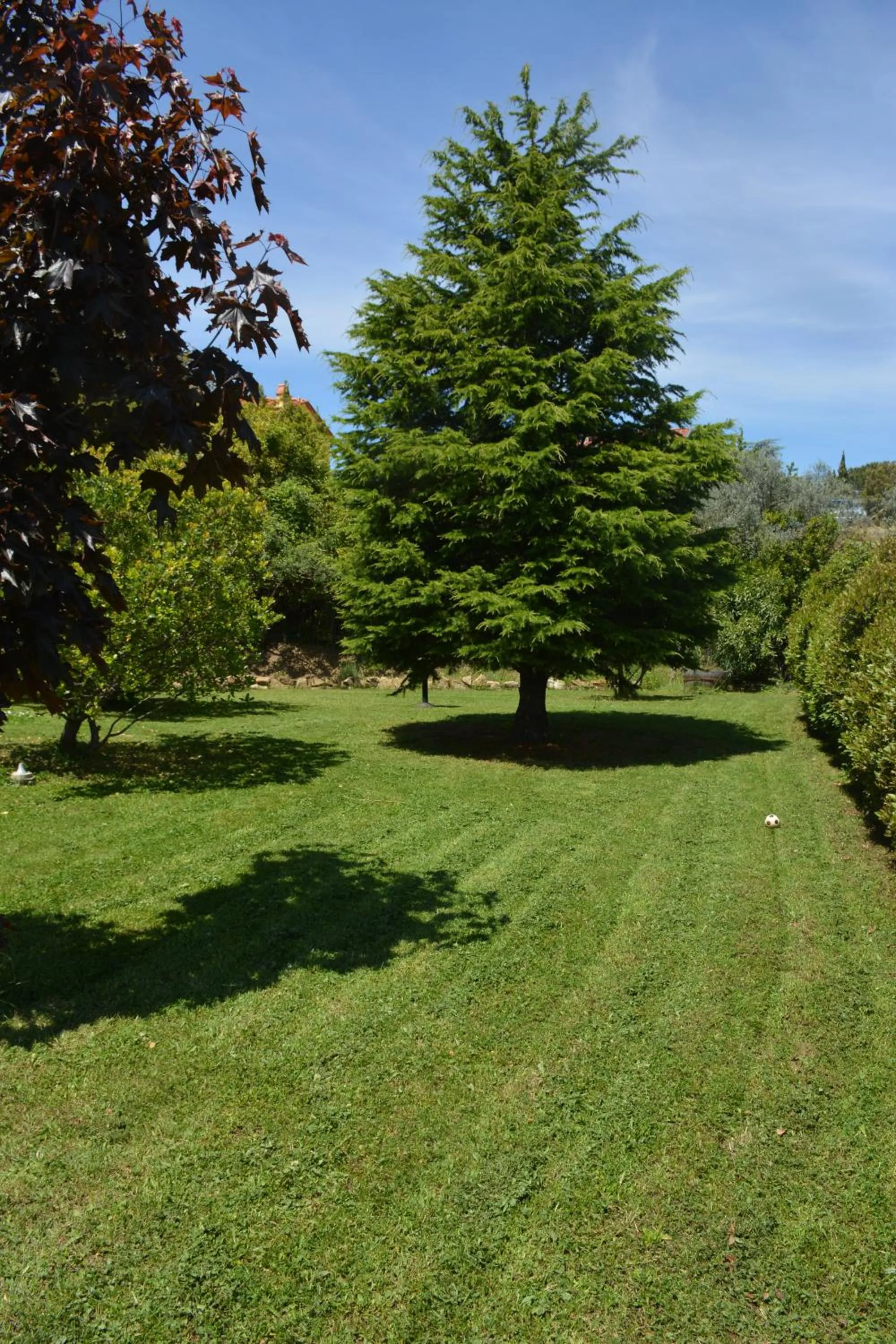 Garden in Rosso Del Chianti