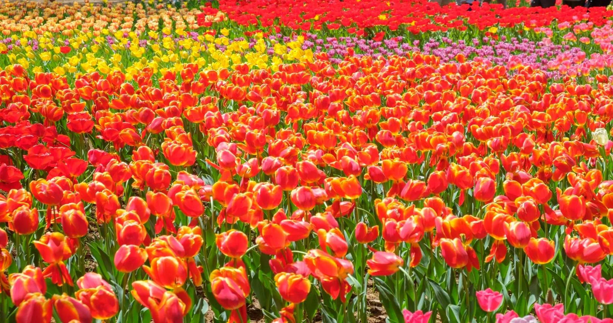 Nearby landmark in KAMENOI HOTEL Itako