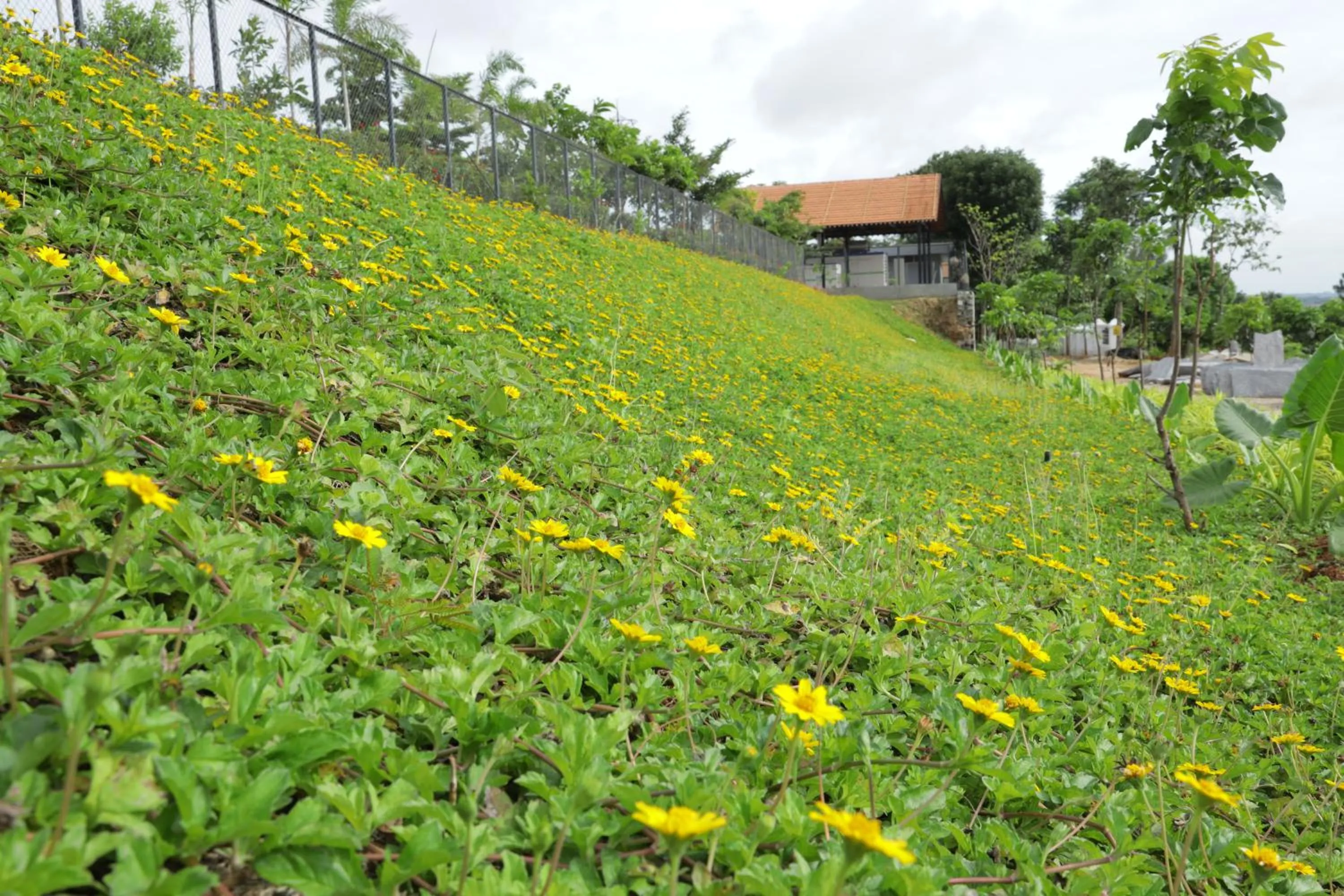 Holiday Valley Hotels And Resorts