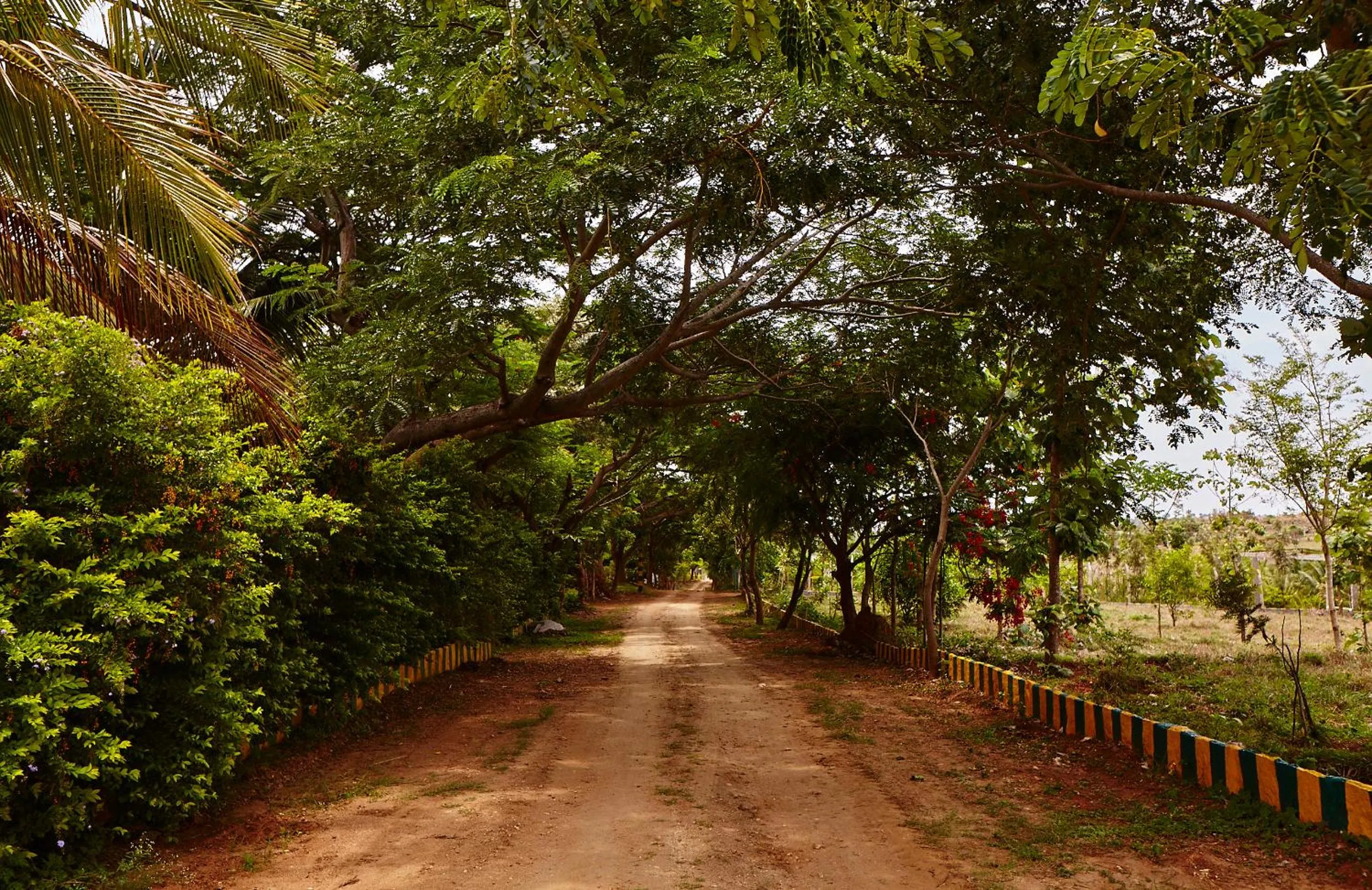 Natural landscape in Holiday Valley Hotels And Resorts