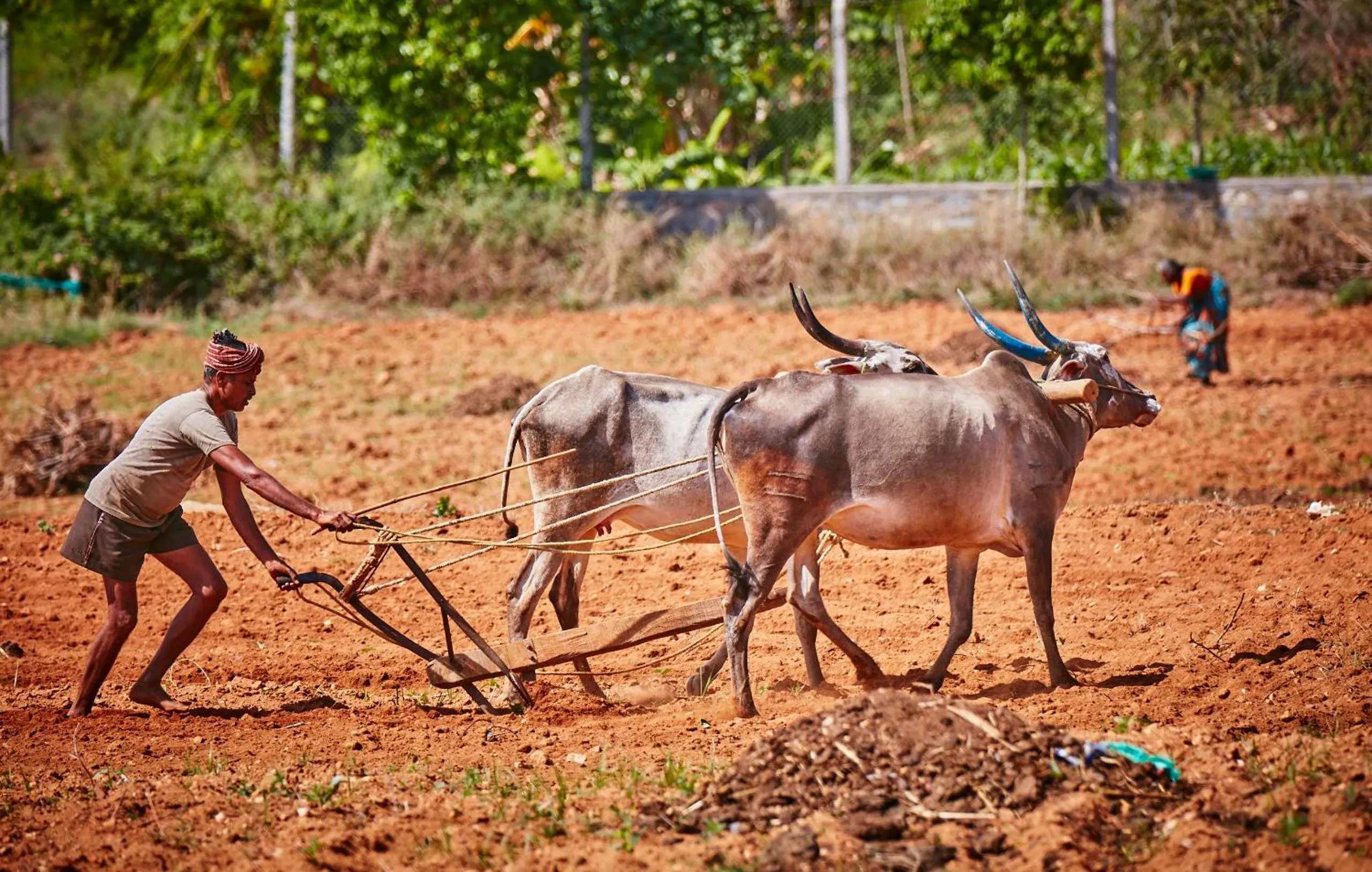 Holiday Valley Hotels And Resorts