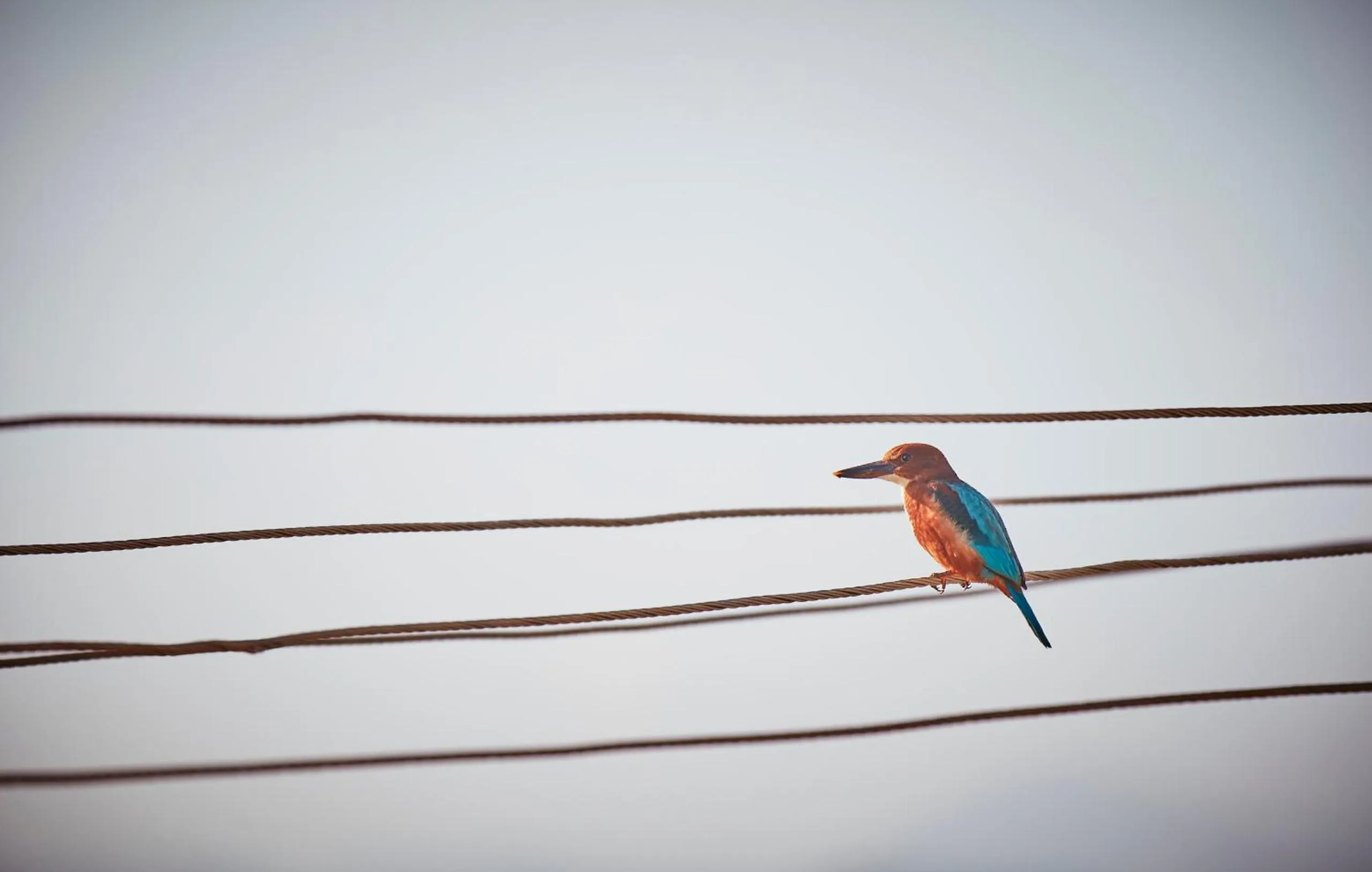 Holiday Valley Hotels And Resorts