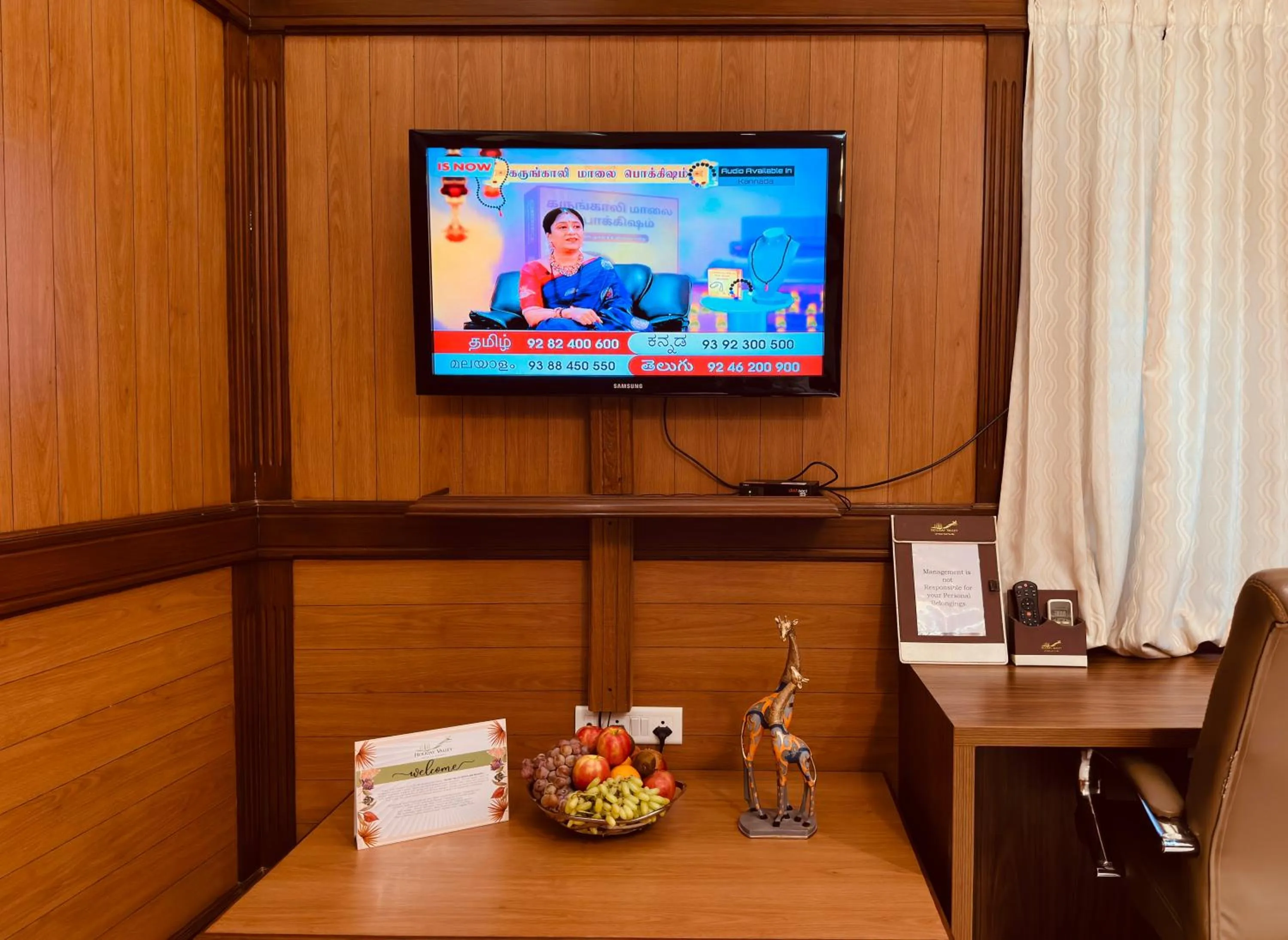 TV and multimedia in Holiday Valley Hotels And Resorts