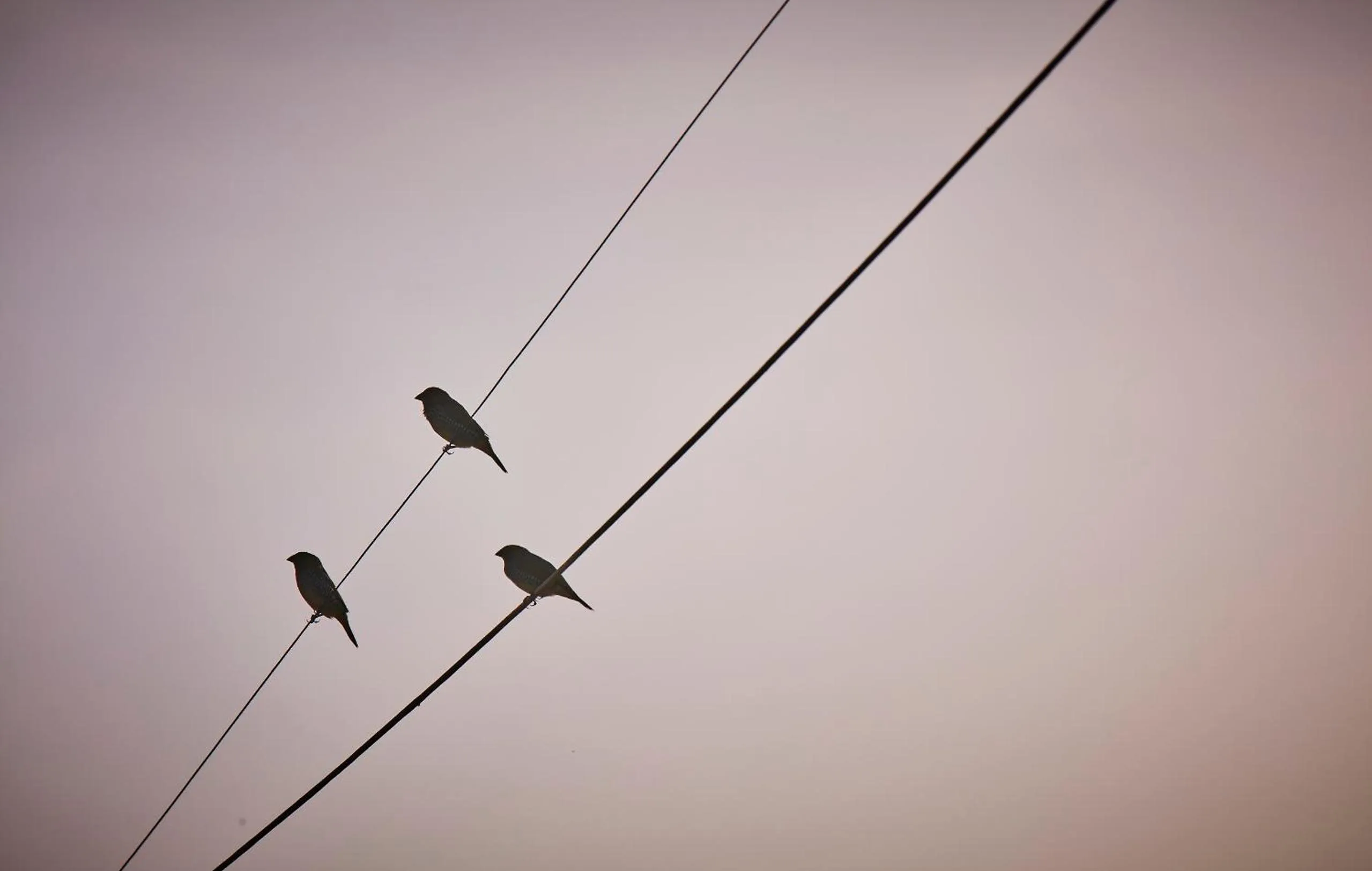 Holiday Valley Hotels And Resorts