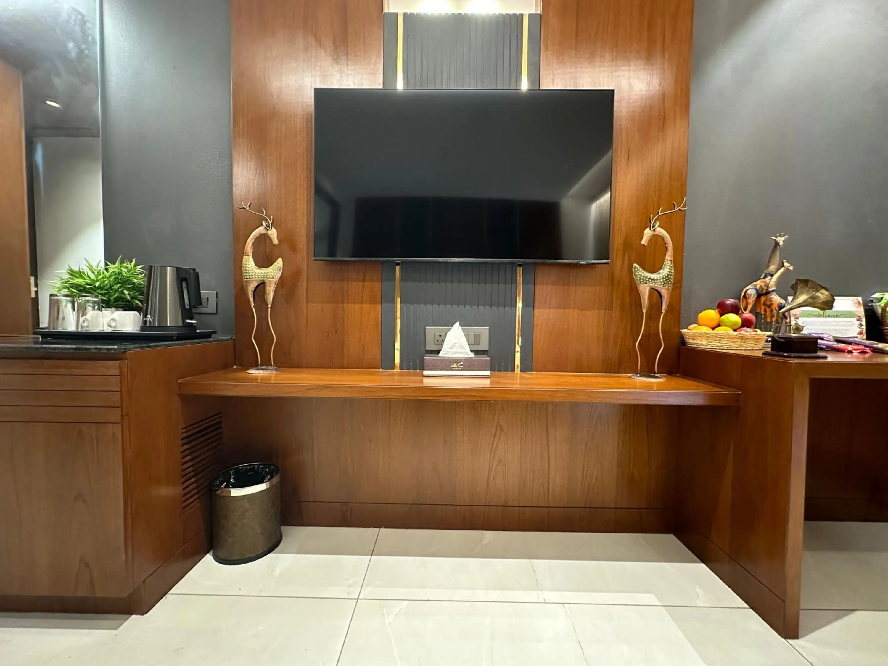 TV and multimedia in Holiday Valley Hotels And Resorts