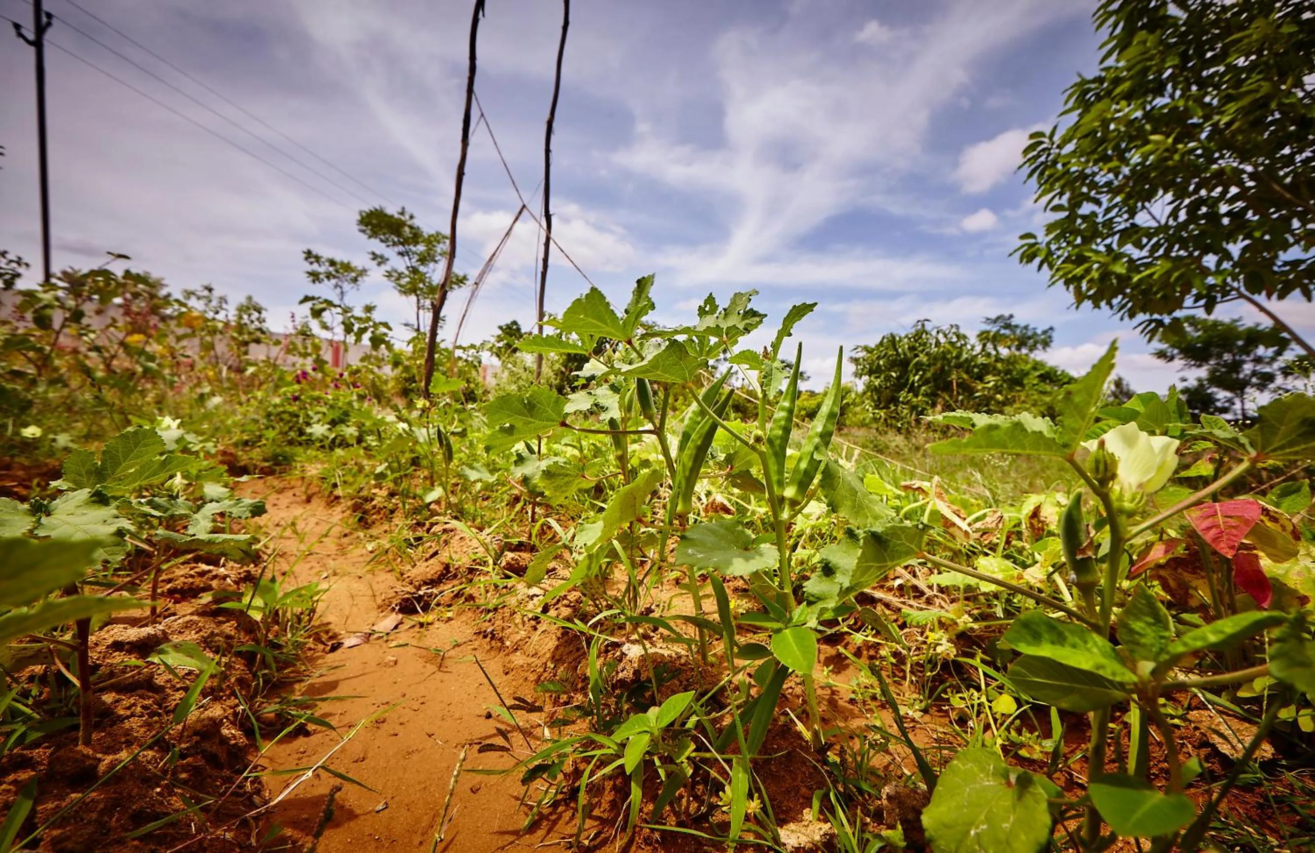 Natural landscape in Holiday Valley Hotels And Resorts