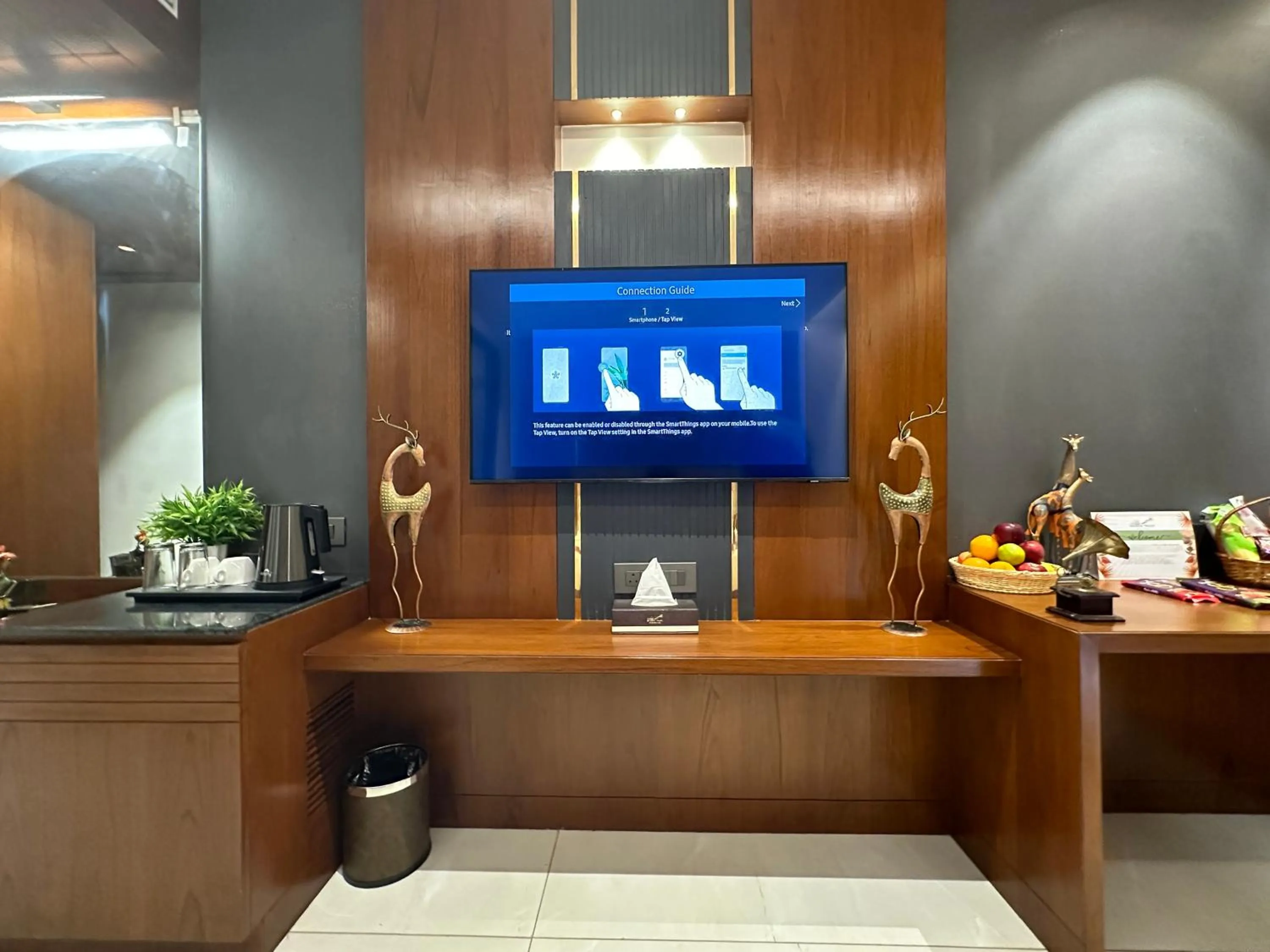 TV and multimedia in Holiday Valley Hotels And Resorts