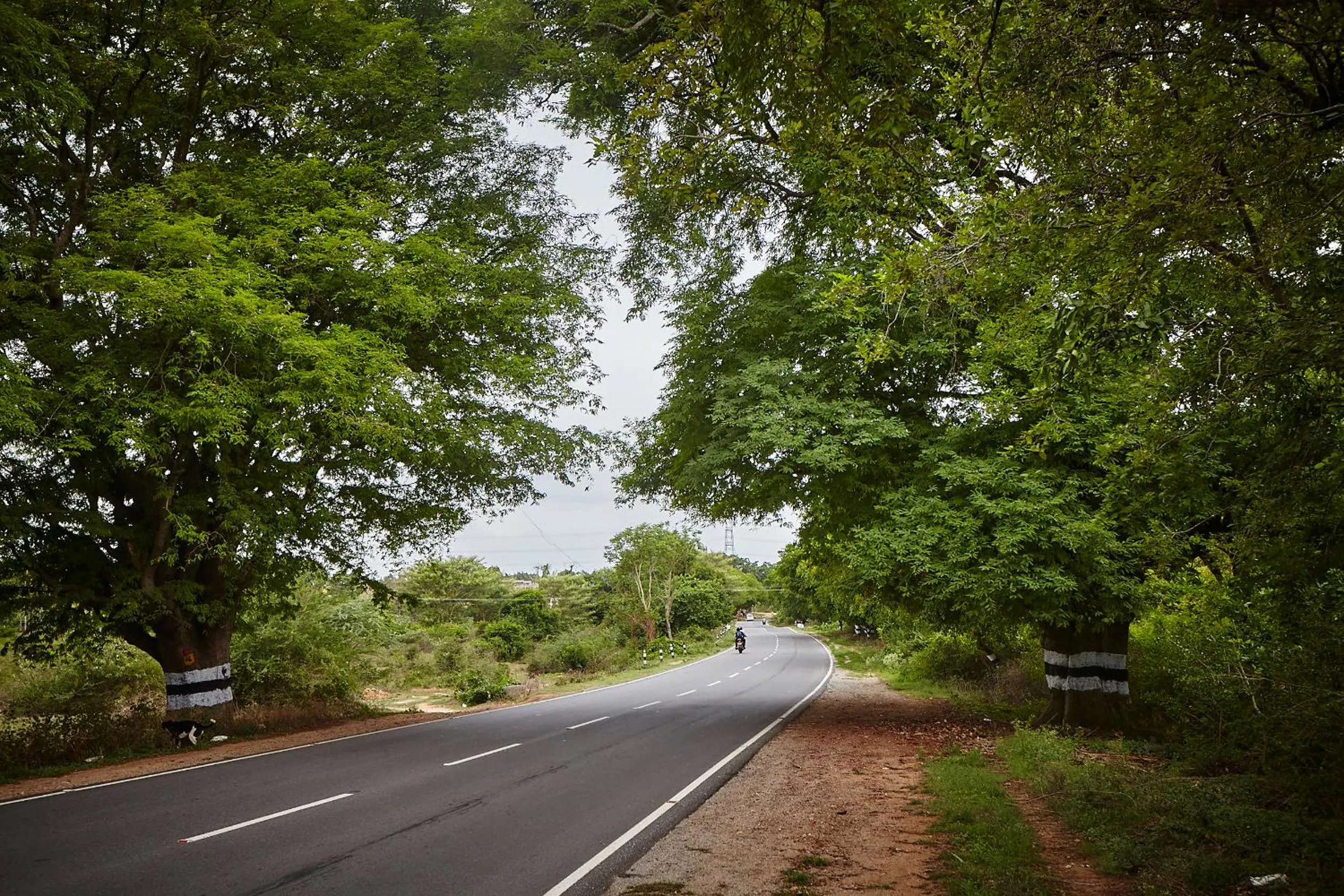 Neighbourhood in Holiday Valley Hotels And Resorts