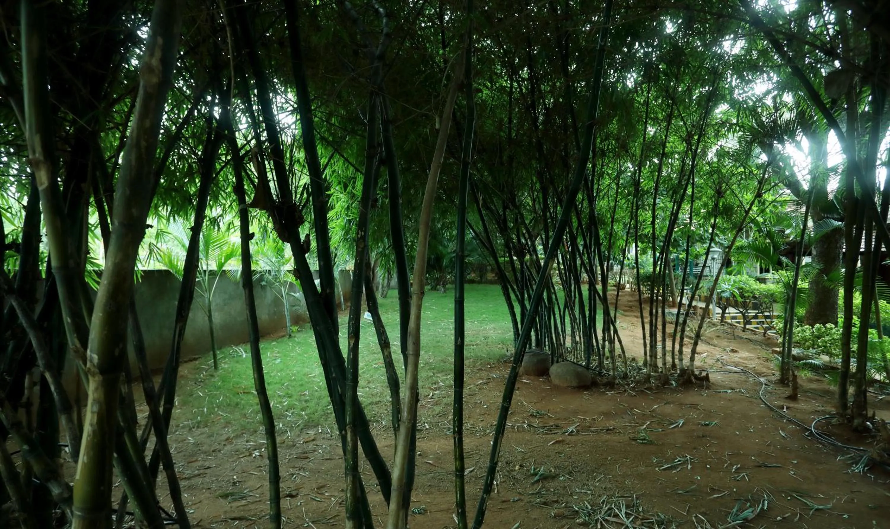 Natural landscape in Holiday Valley Hotels And Resorts