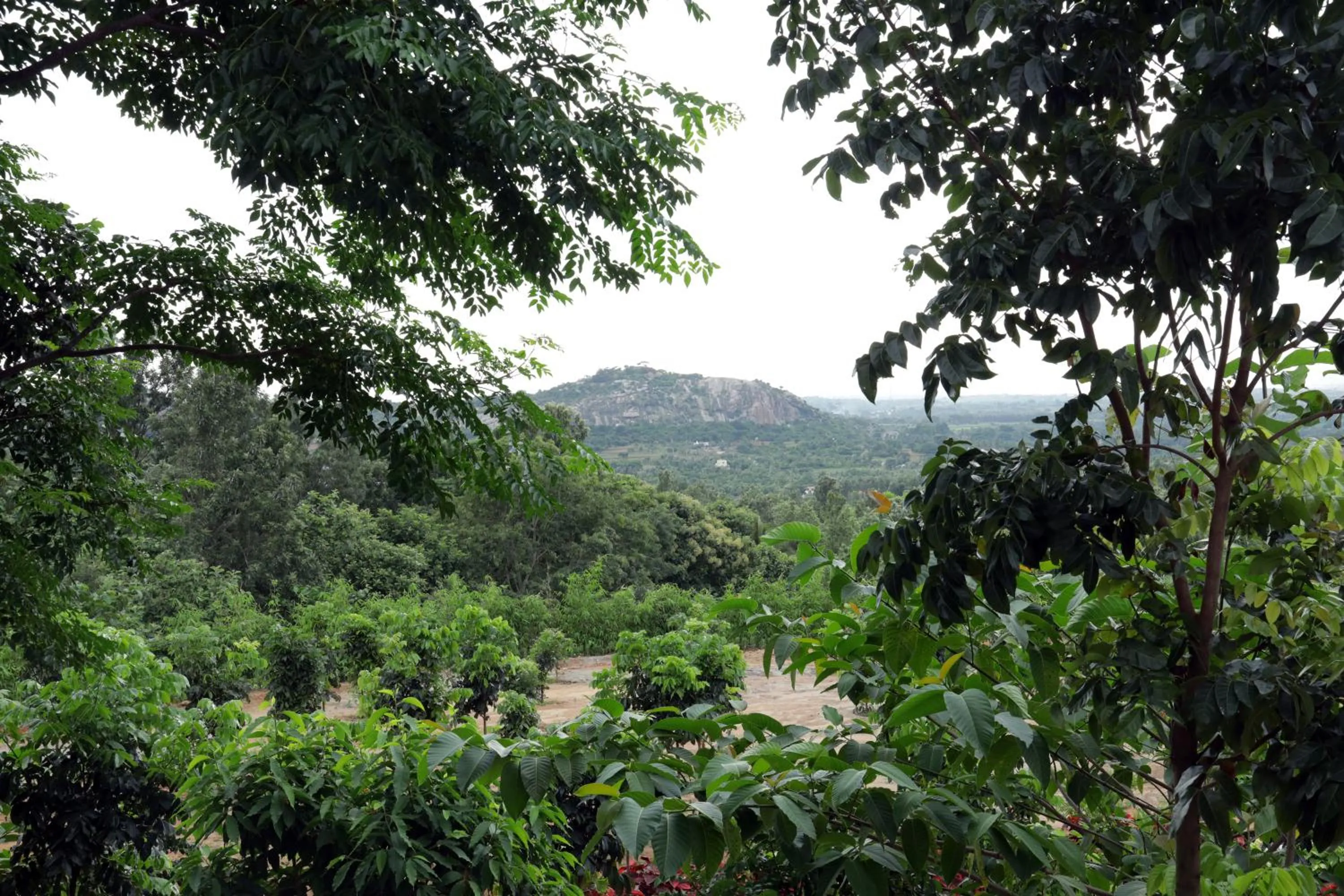 Holiday Valley Hotels And Resorts