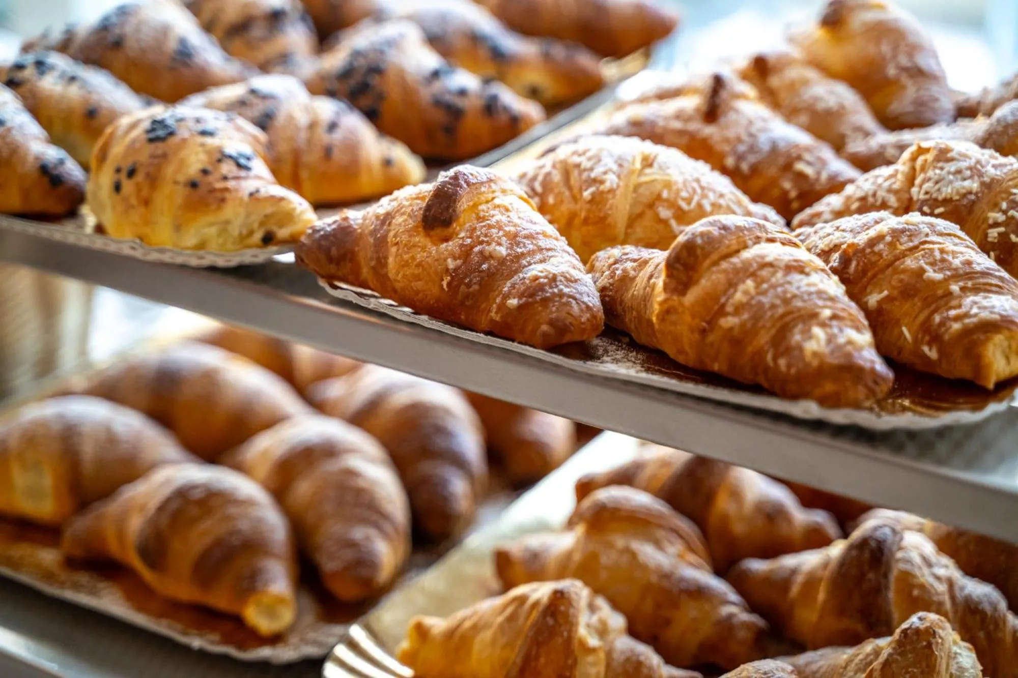 Food and drinks in Hotel Palace Magnolia SPA