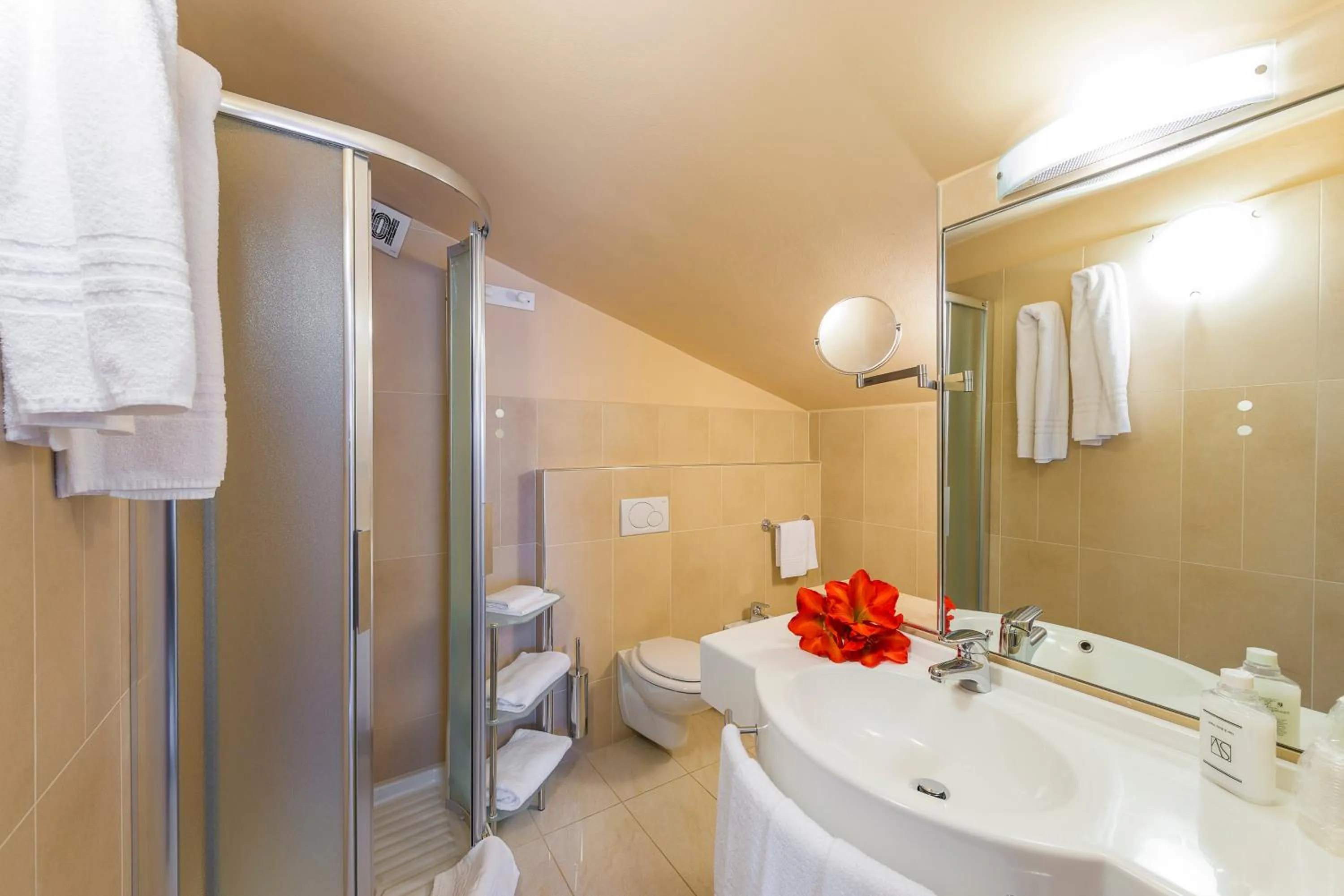 Bathroom in Hotel Palace Magnolia SPA