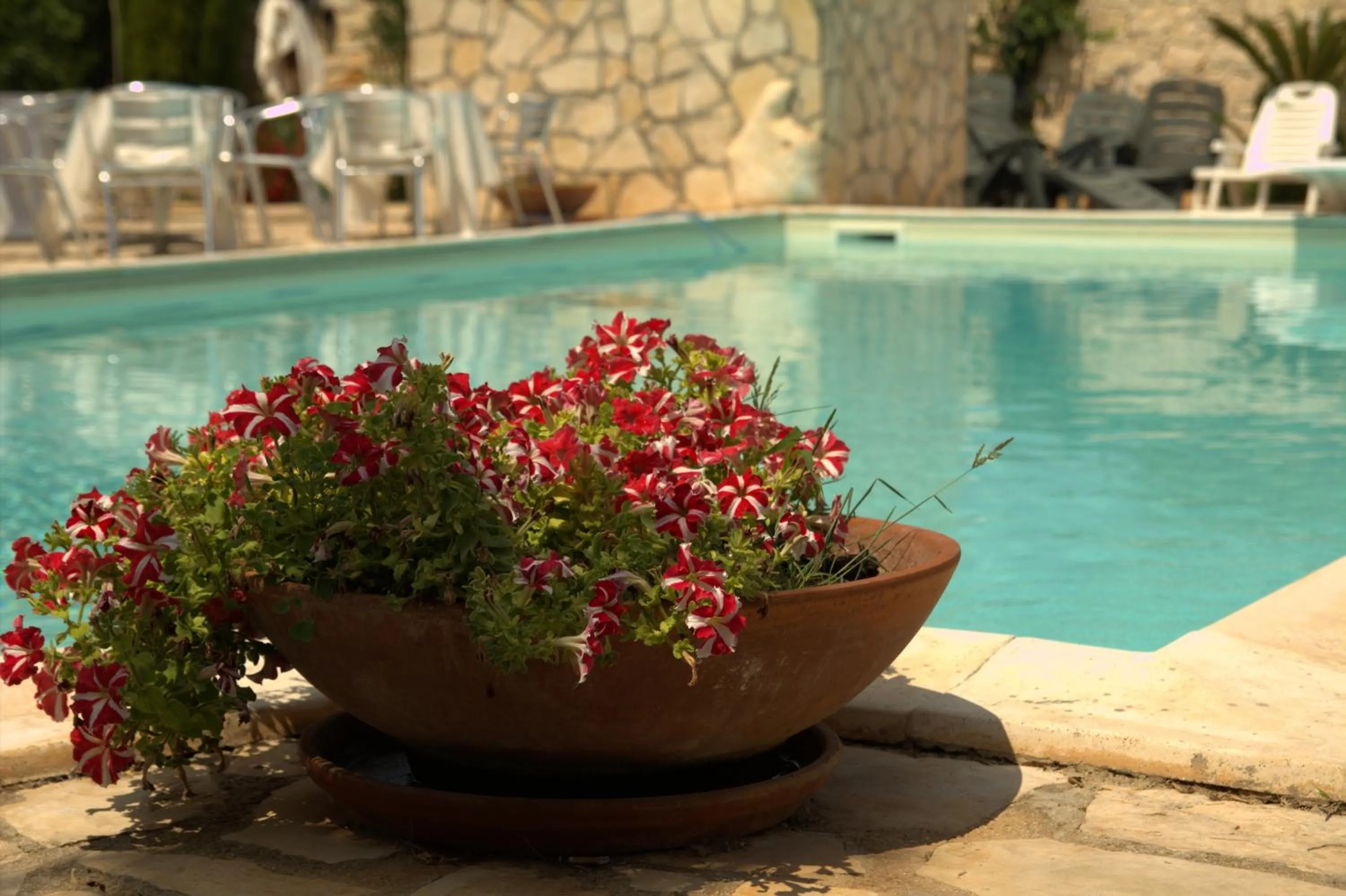 Swimming pool in Dal Canonico