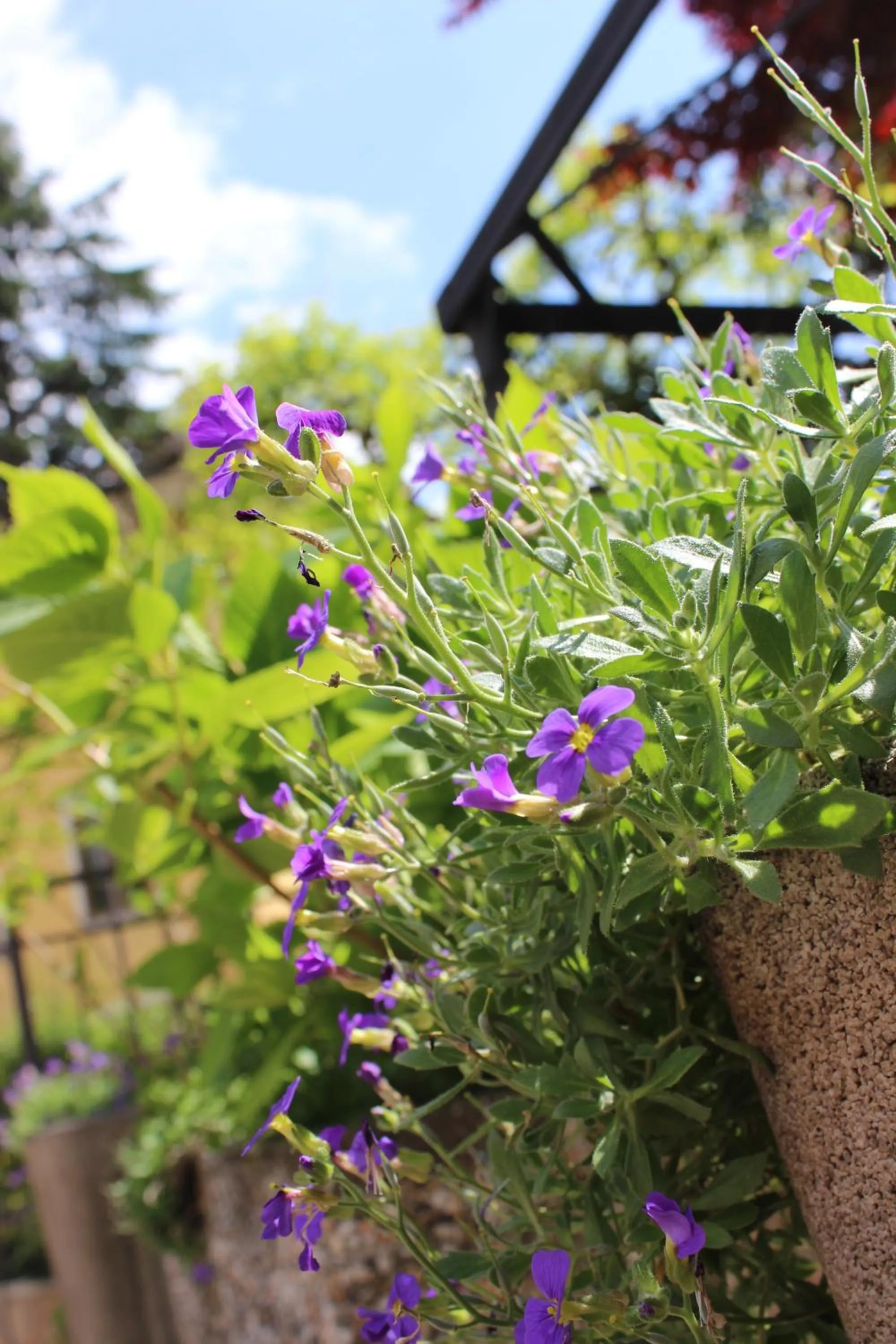 Floor plan in Albergo Al Castello