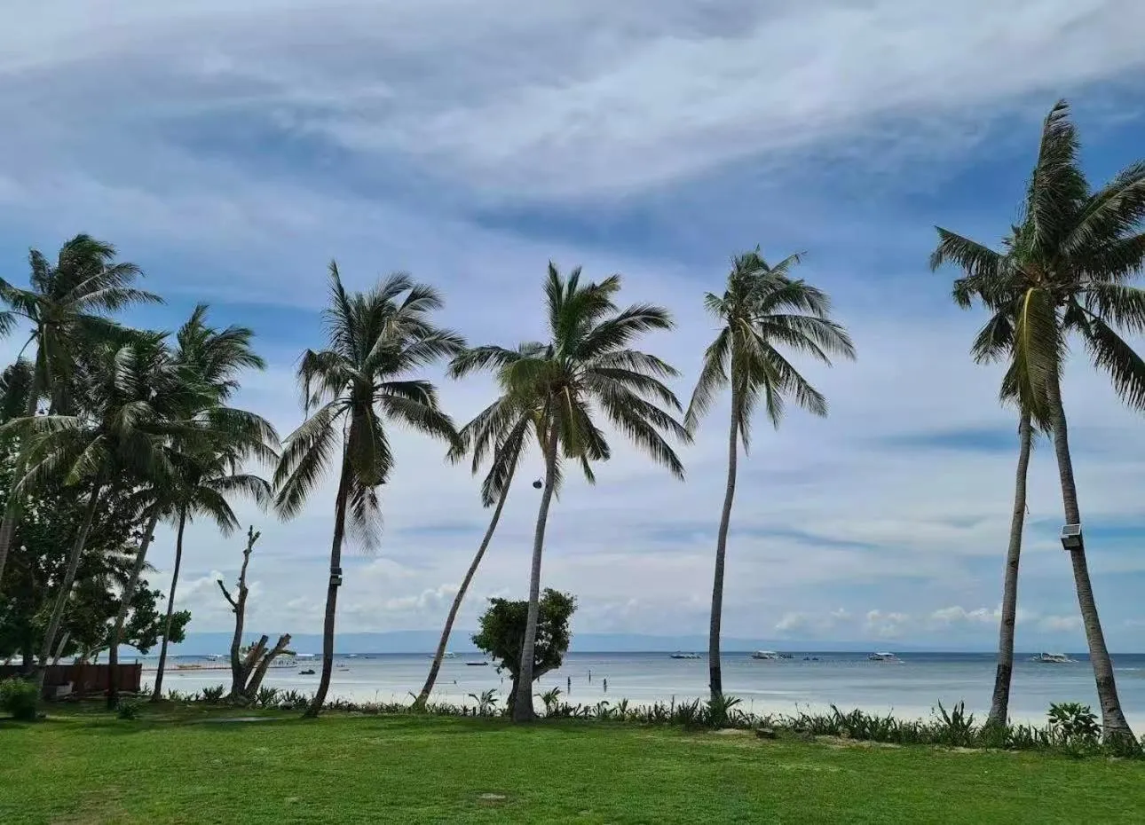 Property building in Bohol Panglao Begonia Resort