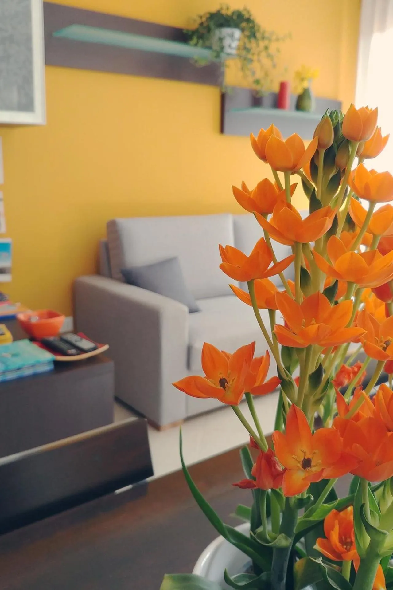 Living room in Bed & Breakfast Tiziana