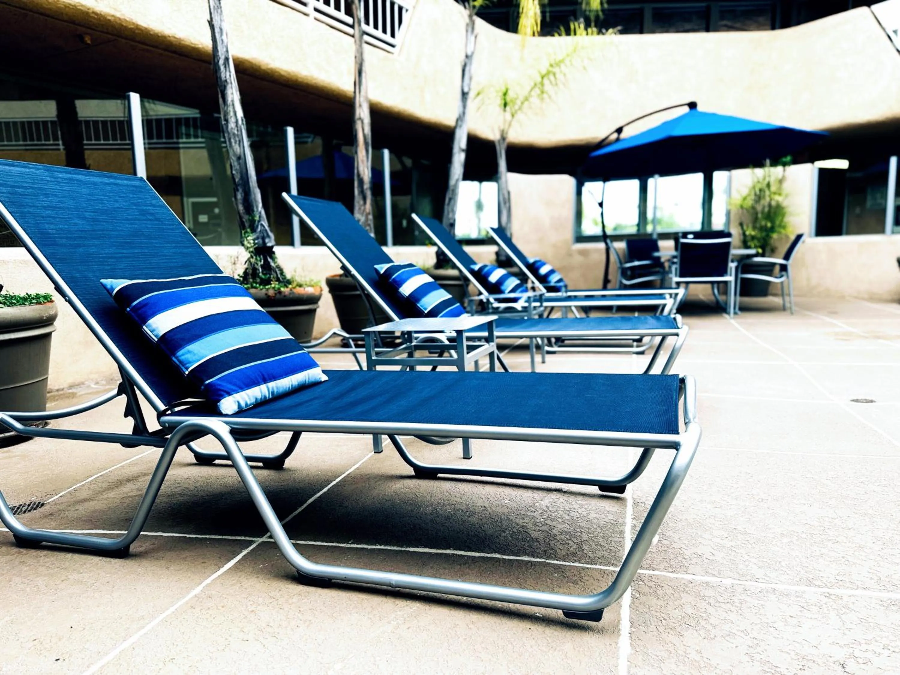 sunbed in The Pacific Inn