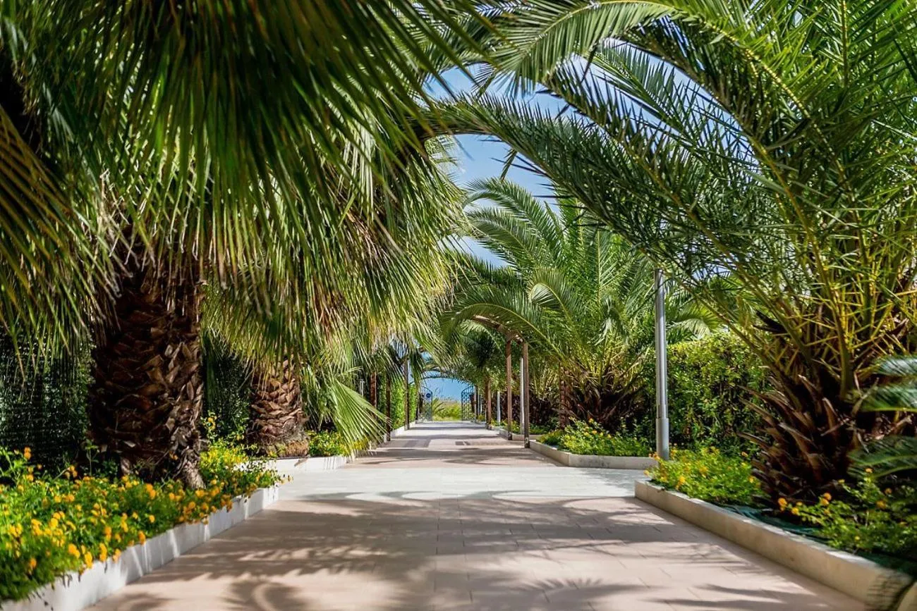 Other in Hotel Vittoria