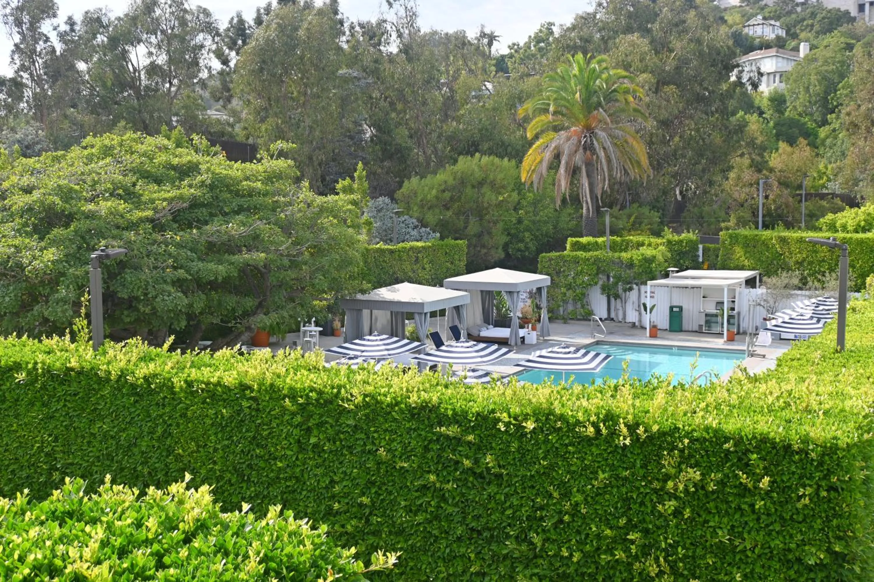 Swimming pool in Luxe Sunset Boulevard Hotel