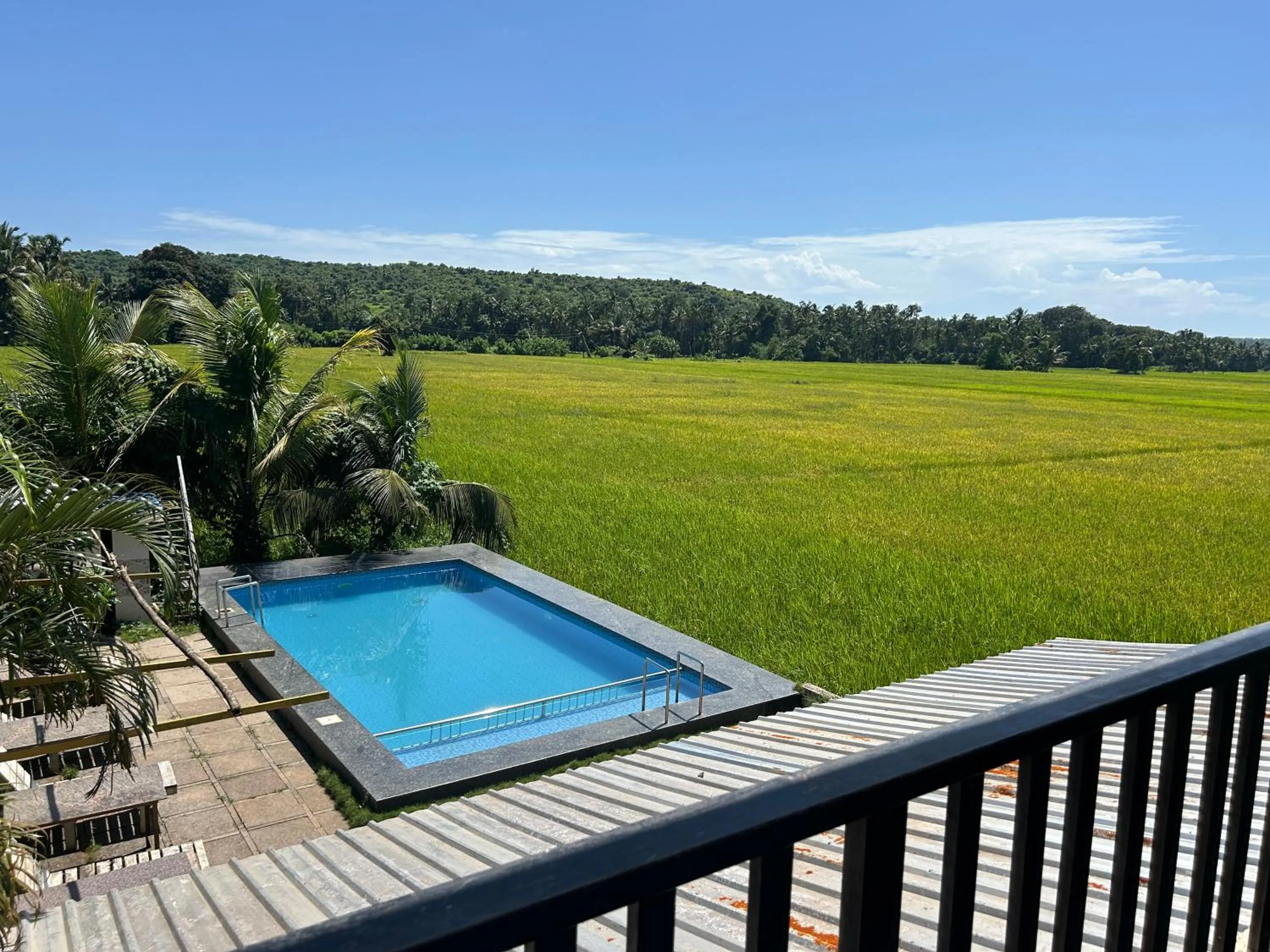 Natural landscape in Shivam Bnb Mandrem Resort