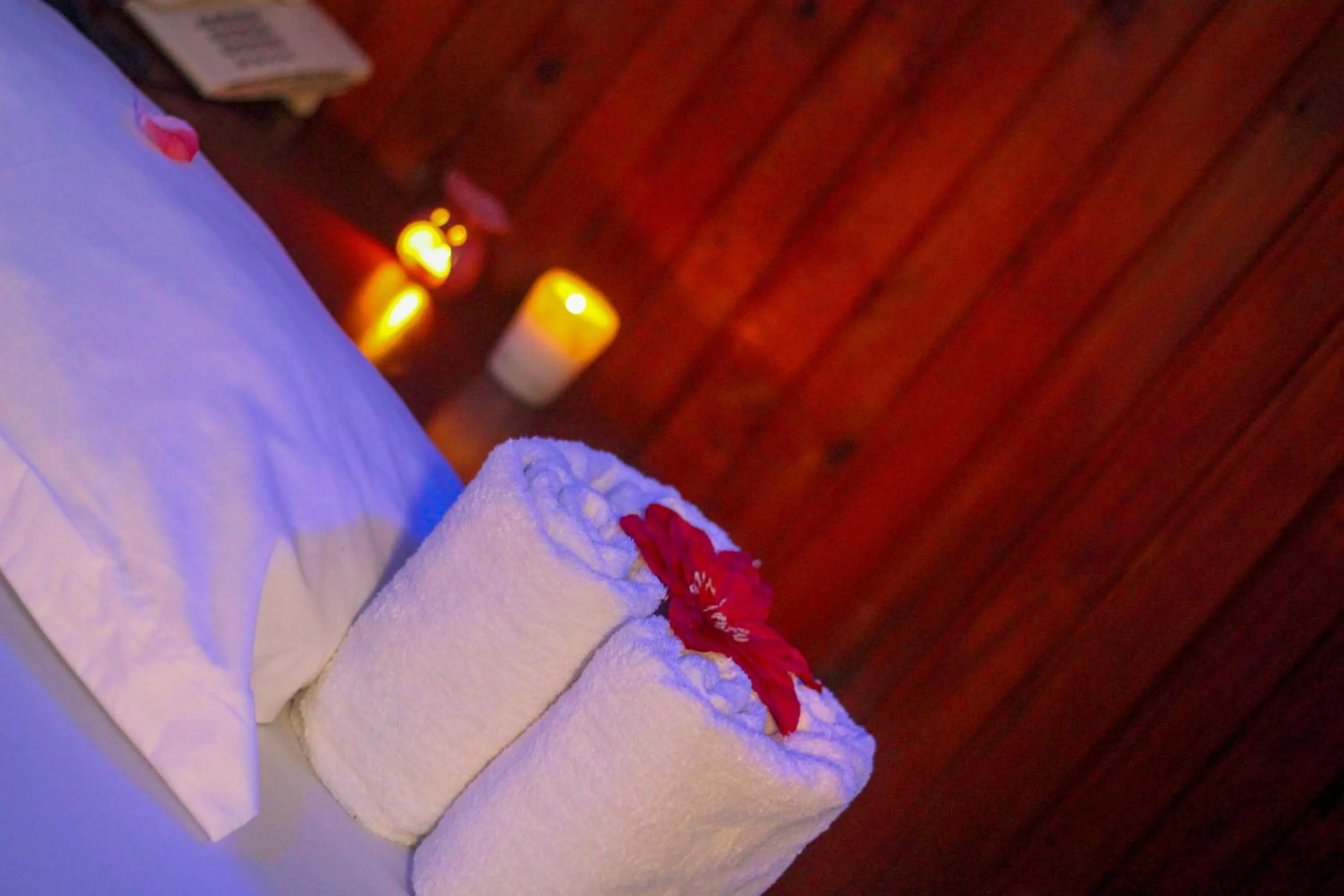 Sauna, Bed in New Hotel Aquiline