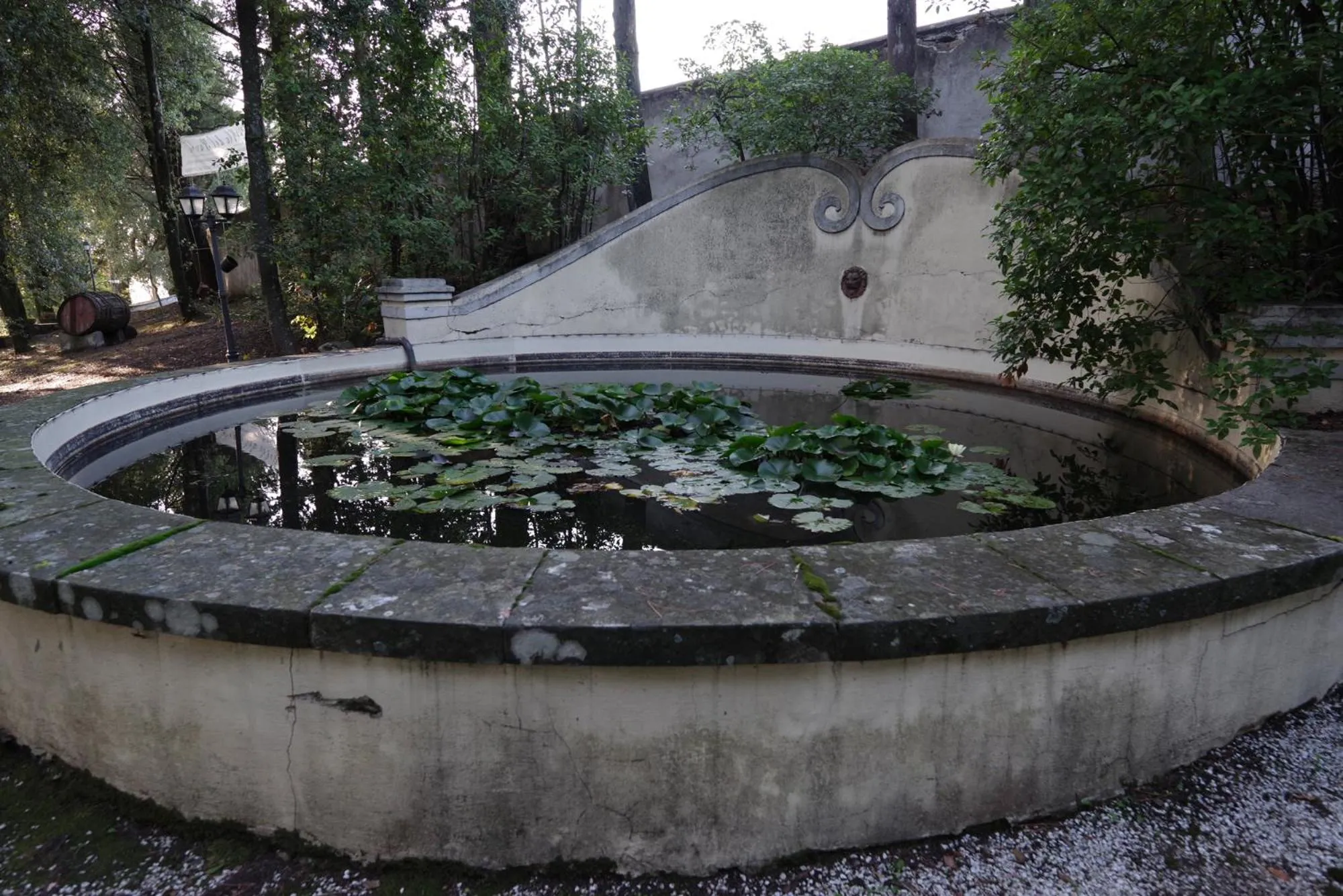 Garden in Villa del Parco in Tuscany