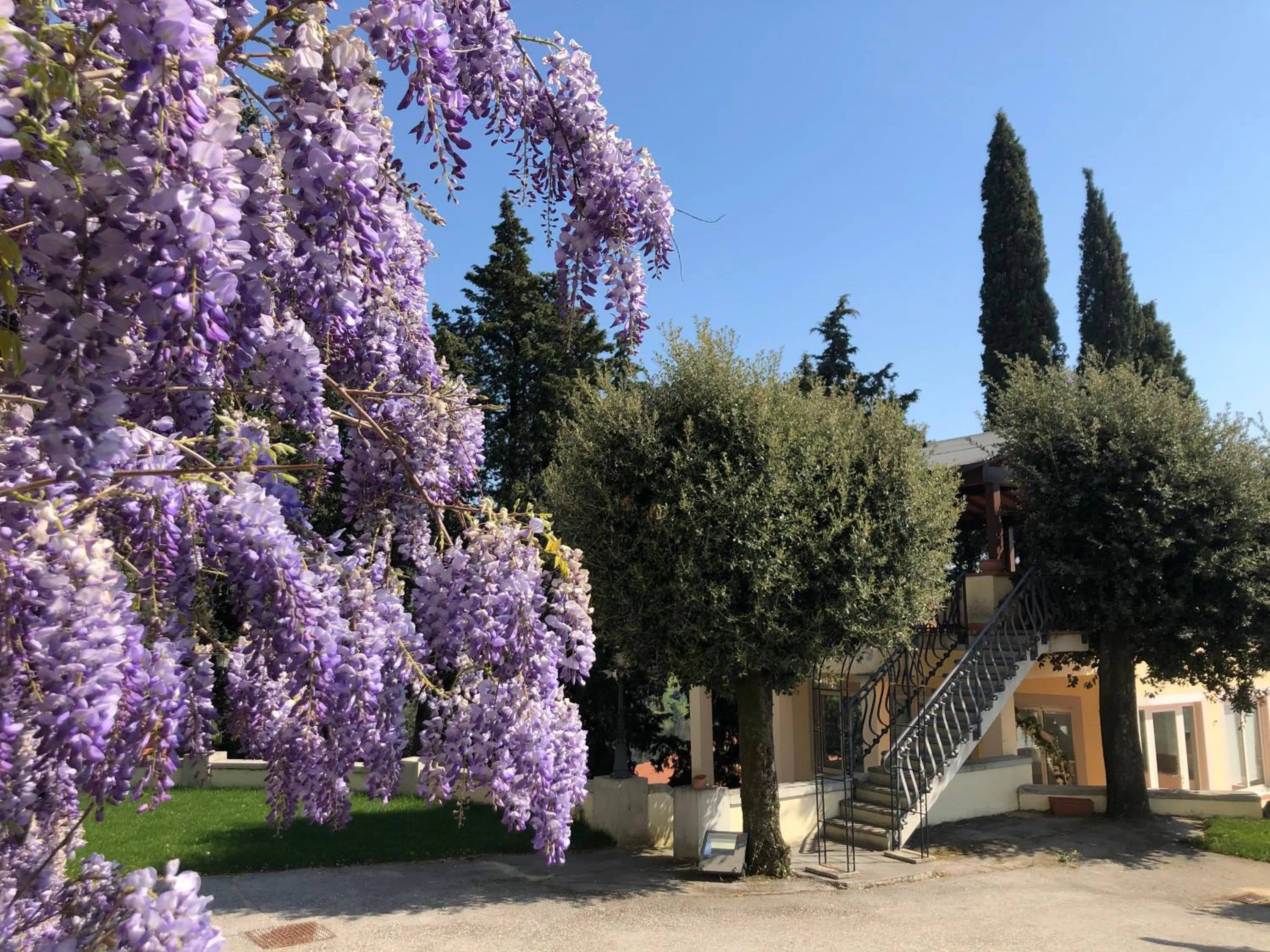 Garden view in Villa del Parco in Tuscany