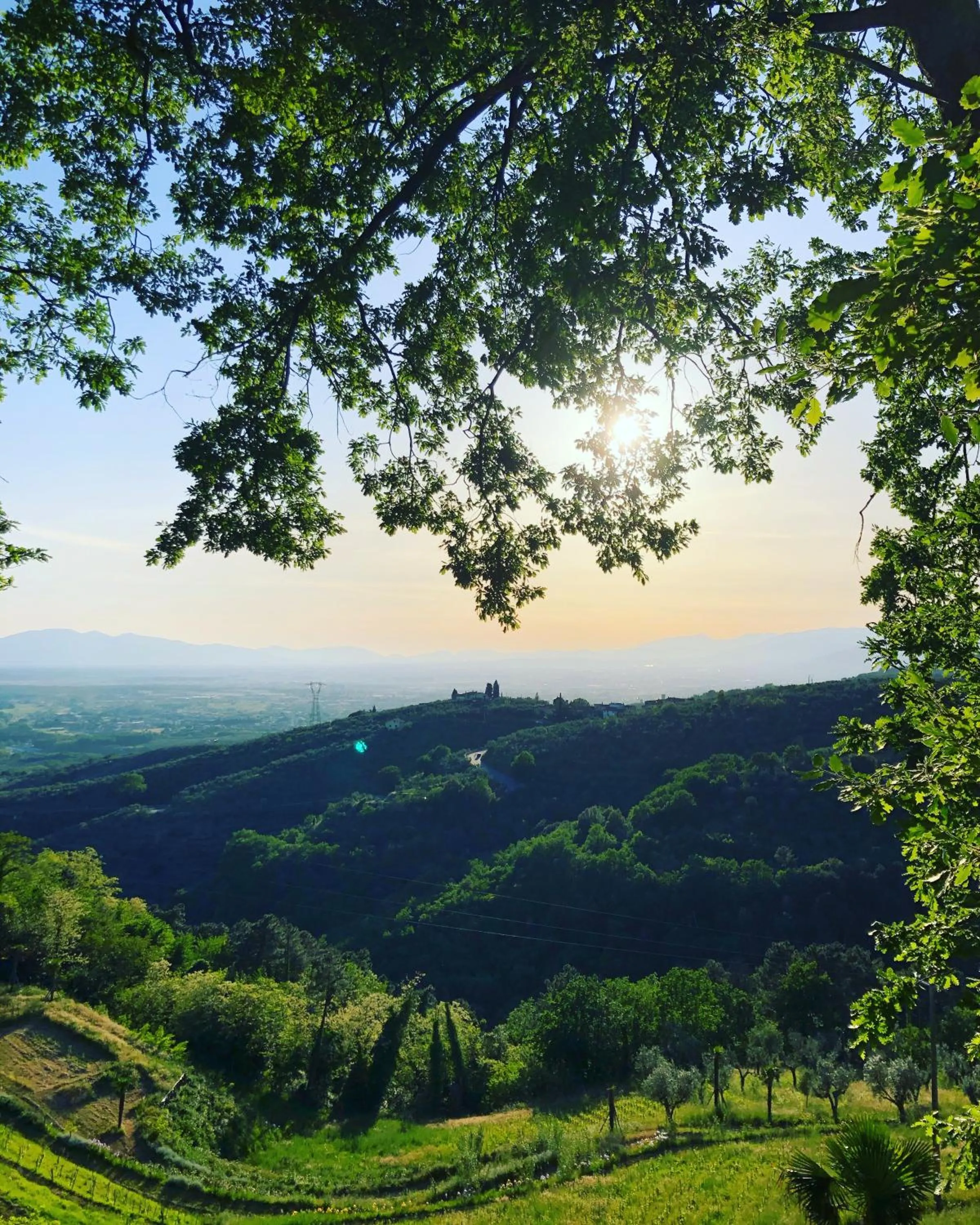 Natural landscape in Villa del Parco in Tuscany