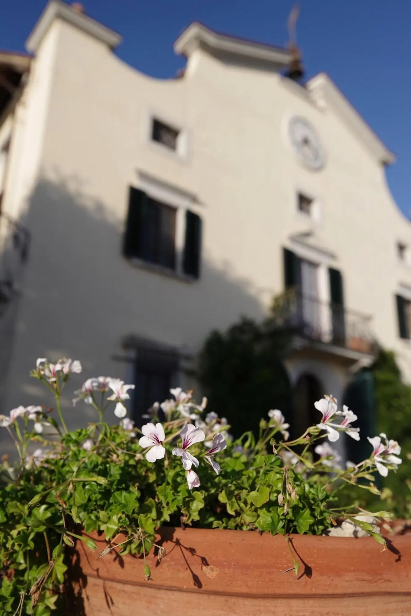 Property building in Villa del Parco in Tuscany