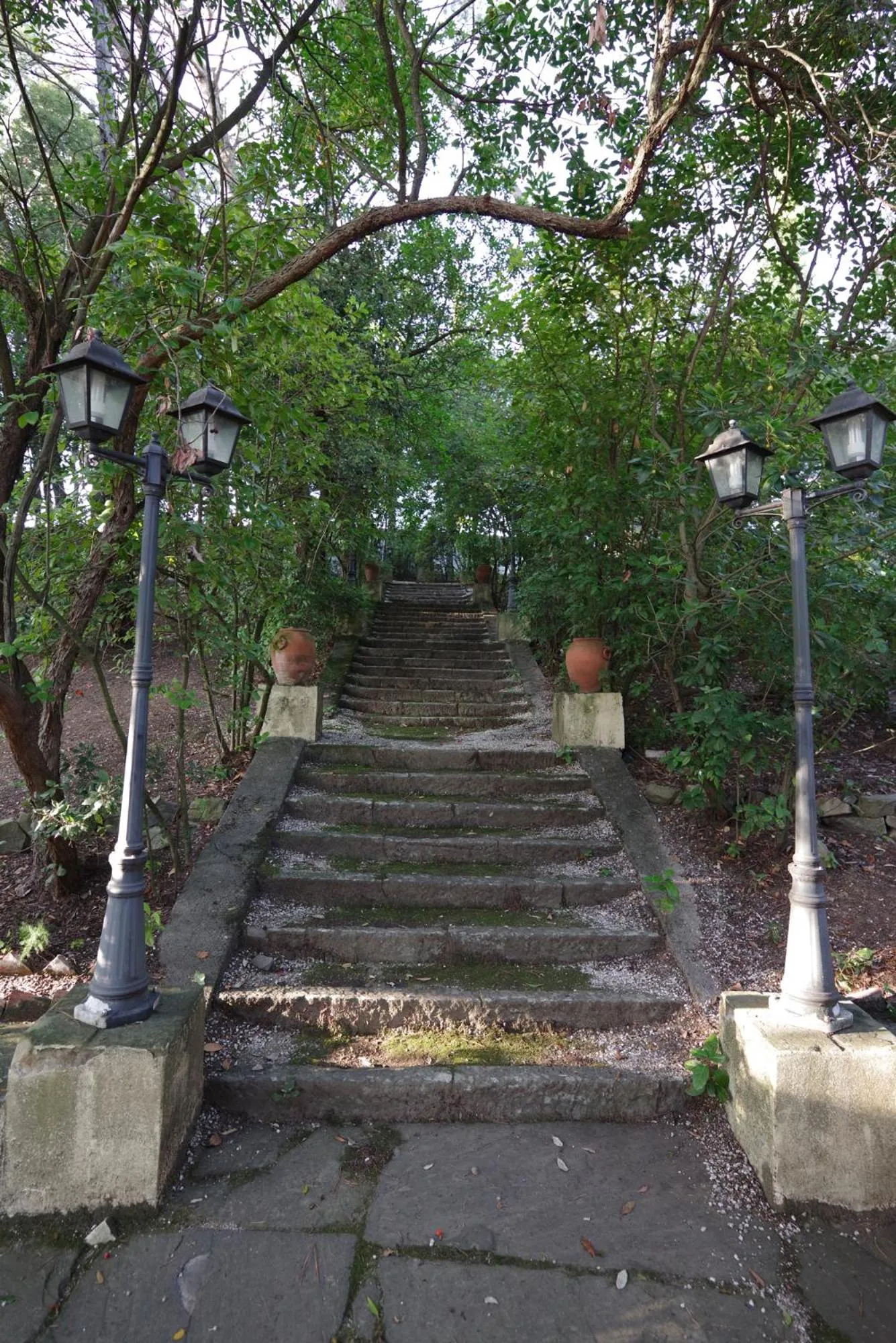 Garden in Villa del Parco in Tuscany