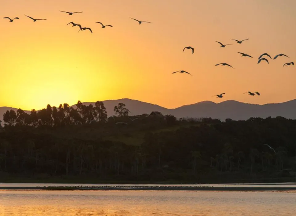 Natural landscape in Pousada Mevlana Garden