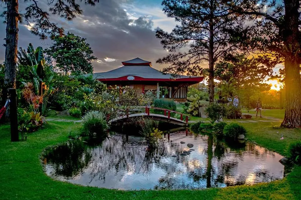 Garden in Pousada Mevlana Garden