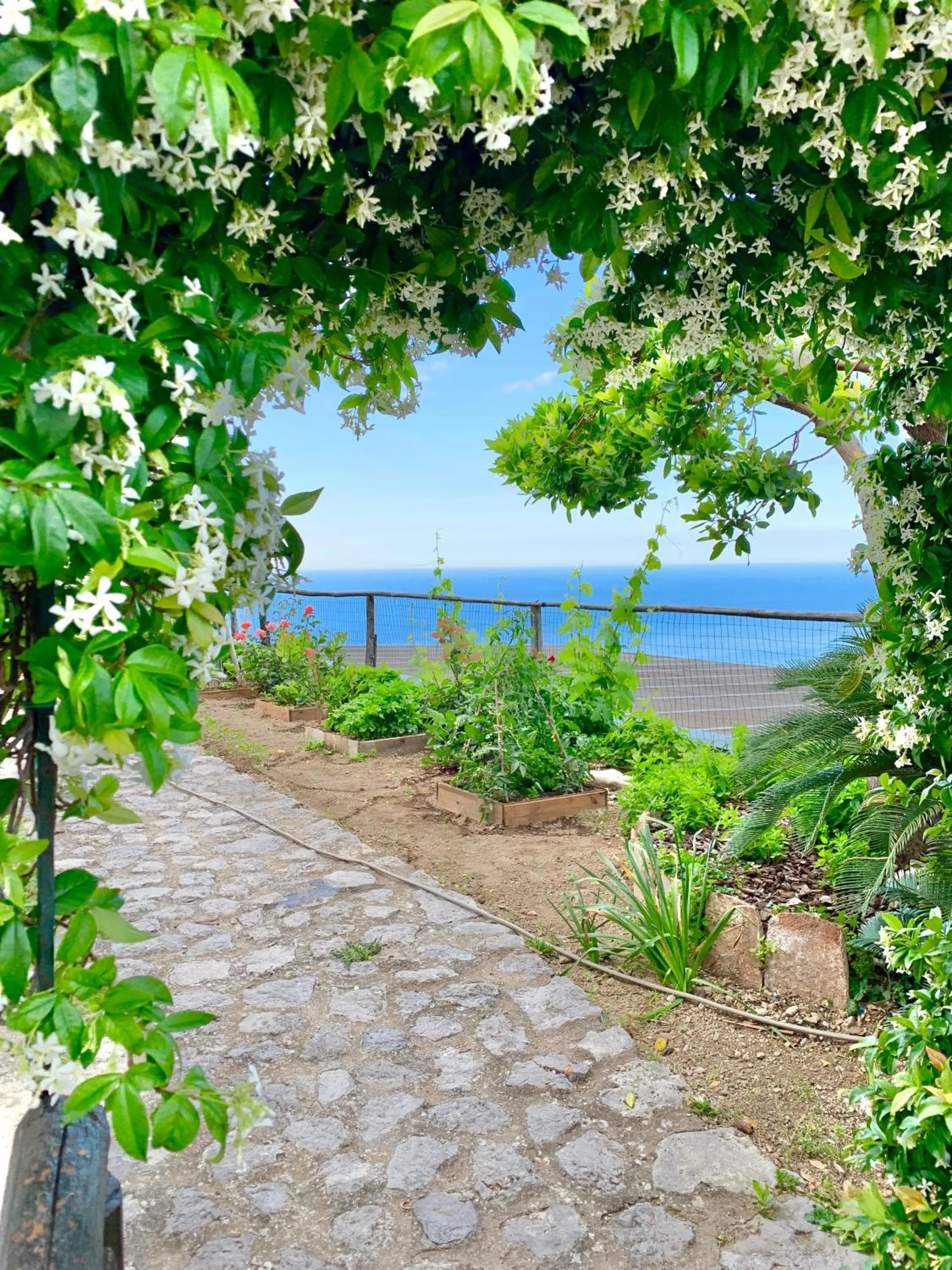 Natural landscape in Agriturismo Sant'Alfonso