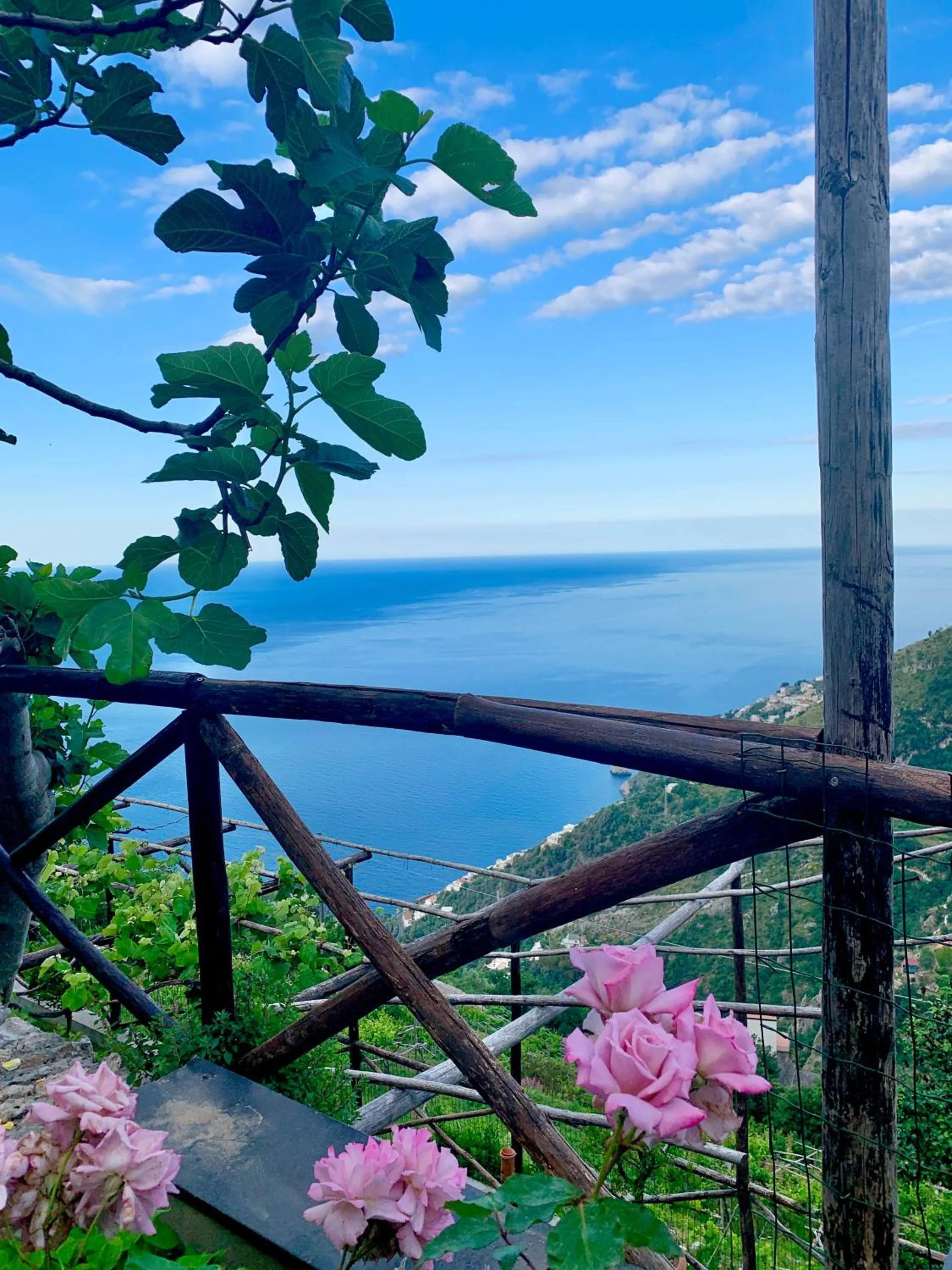 Balcony/Terrace in Agriturismo Sant'Alfonso